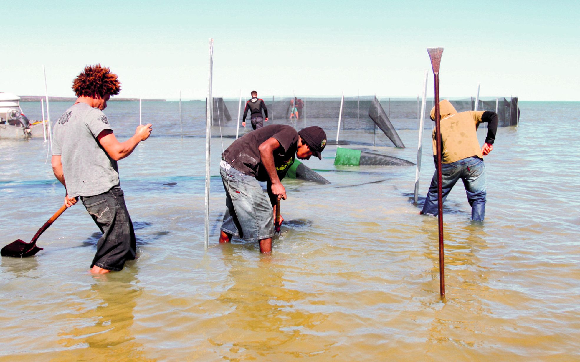 Pouembout, juin 2014. Des enclos devant  accueillir des juvéniles d’holothuries sont  installés en aval d’une ferme de crevettes.