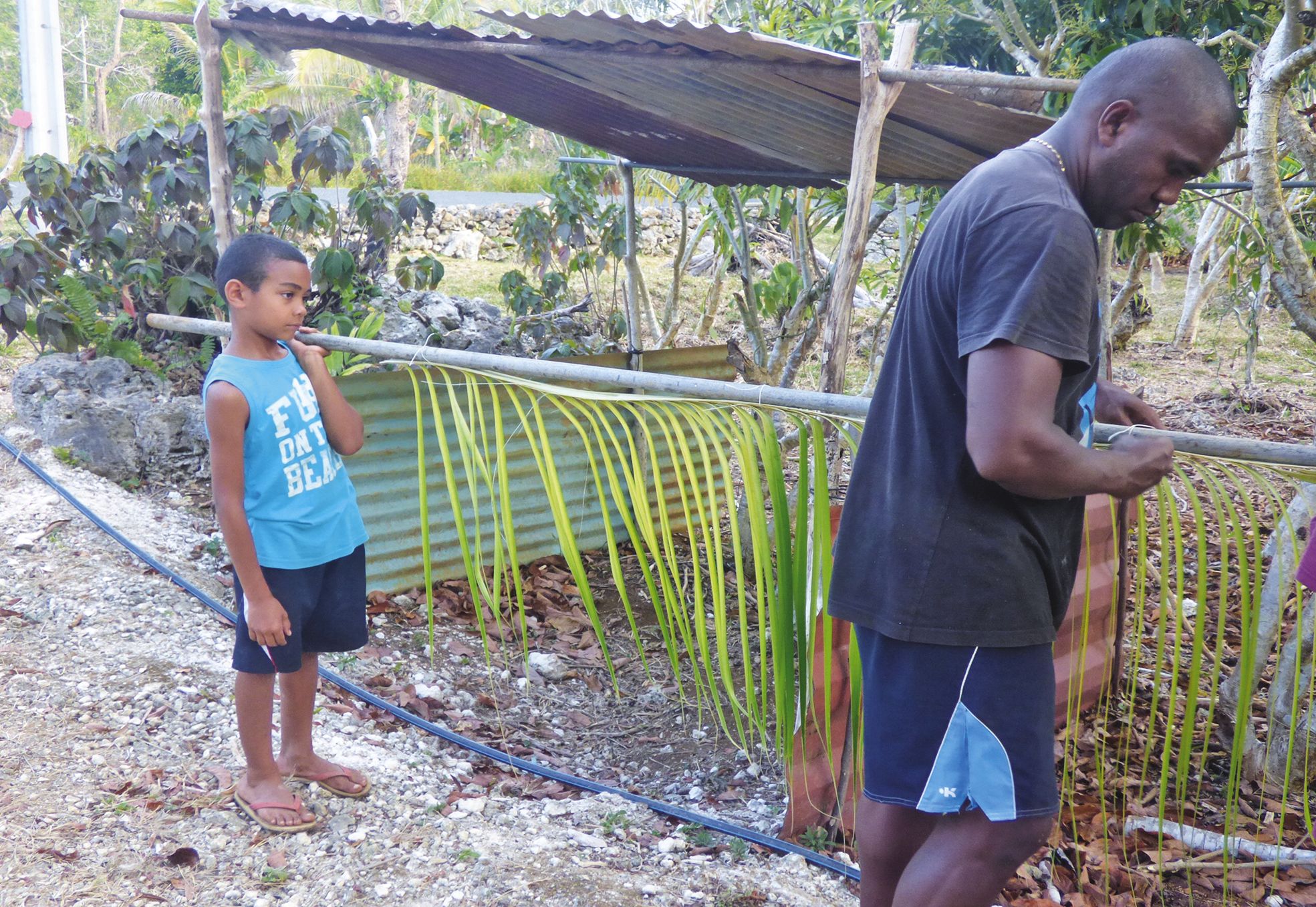 Les habitants ont décoré leurs habitations et leurs terrains à l’aide de feuilles de cocotiers, de manous et de divers végétaux.