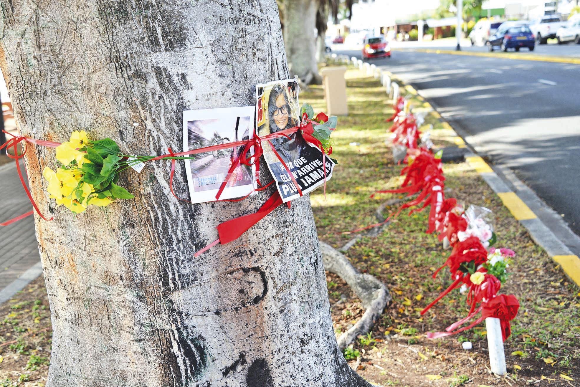 Après l’accident sur l’Anse-Vata, un grand nombre de personnes ont appelé la police pour tenter de l’aider.