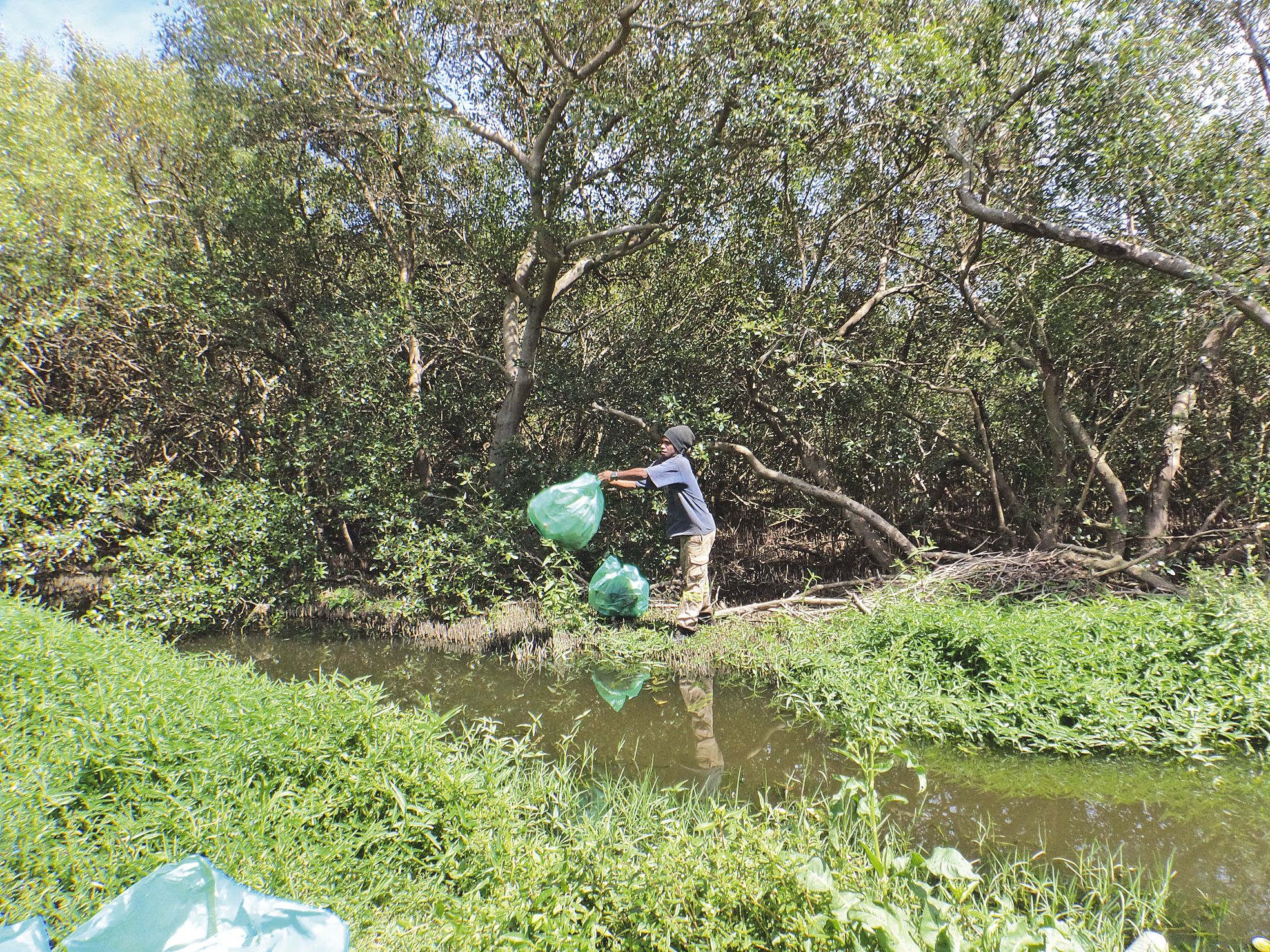 Les jeunes ont également rempli des sacs entiers de déchets qu’ils ont sortis à pied de la mangrove.