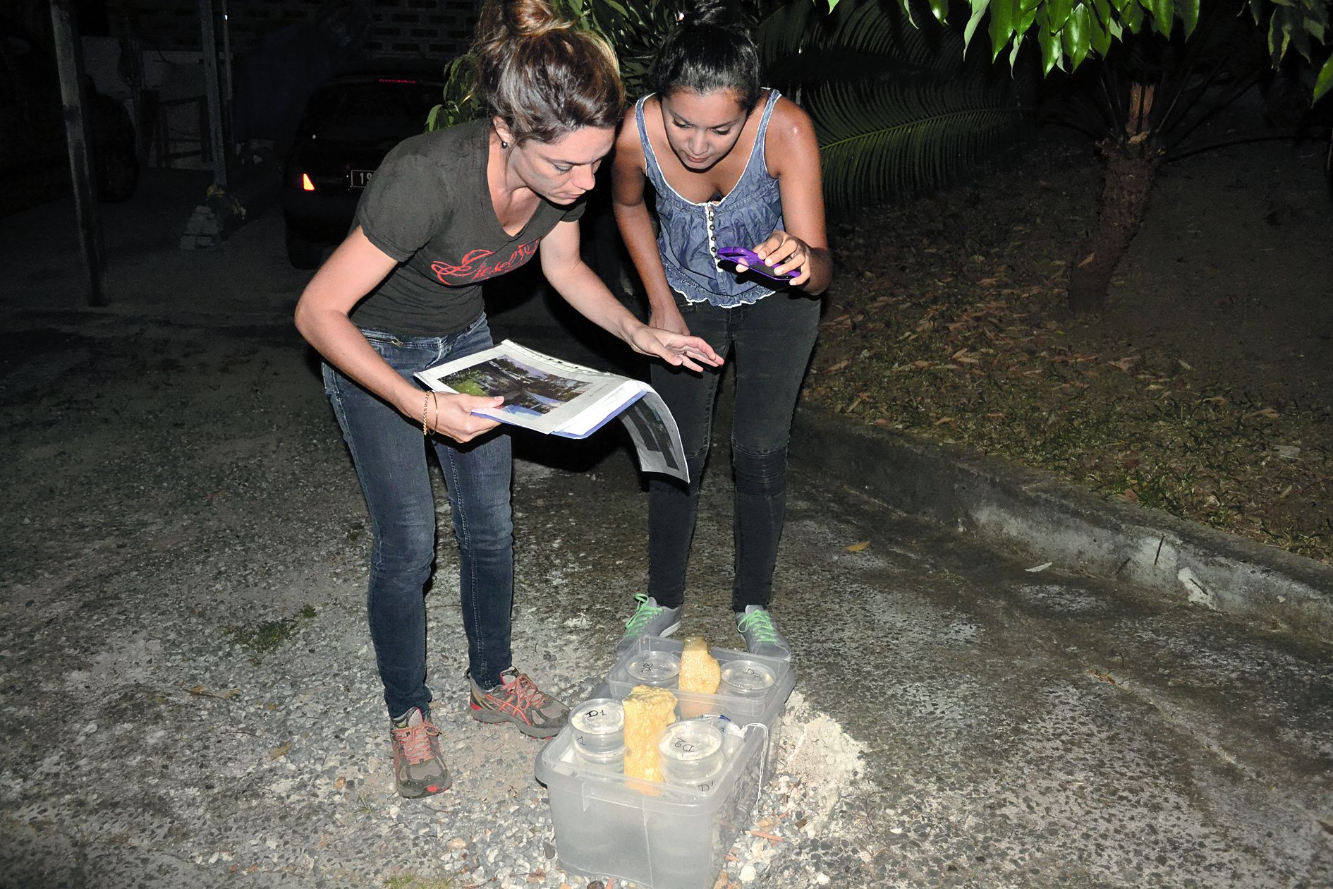 À gauche, Florie Cheilan, ingénieure sanitaire à la Dass, se prépare à placer les gobelets  qui contiennent les larves de moustique dans le jardin d’une maison.