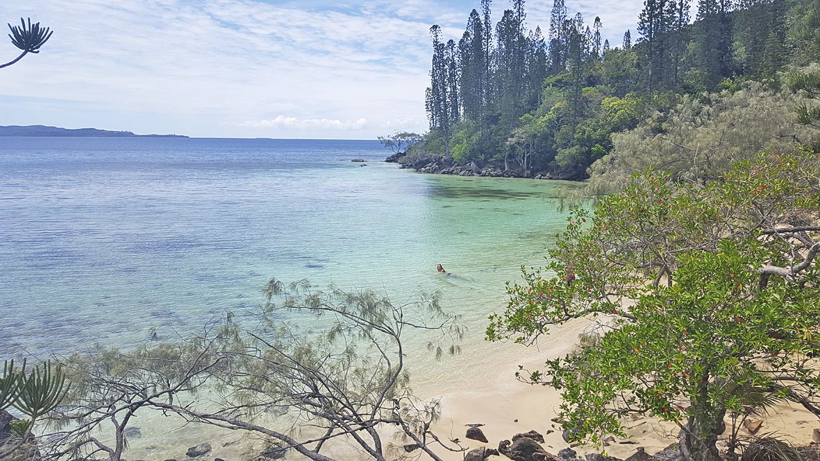 La balade réserve de belles surprises, et notamment cette petite crique cerclée de sable blanc et de bois-de-fer. Une pause rafraîchissante s’impose.