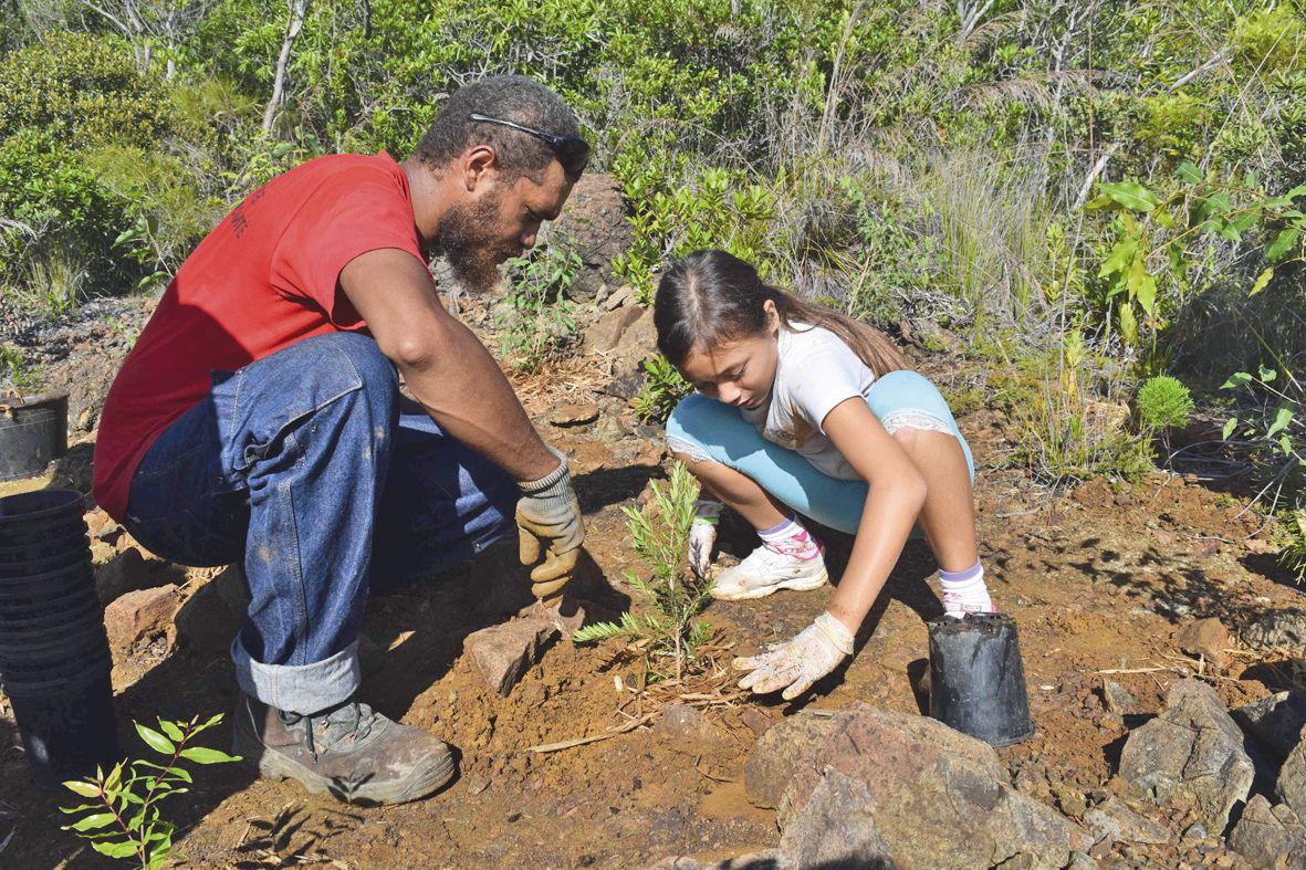 Chaque année, de nombreux élèves participent à des  plantations d’essences endémiques au mont Goumba.