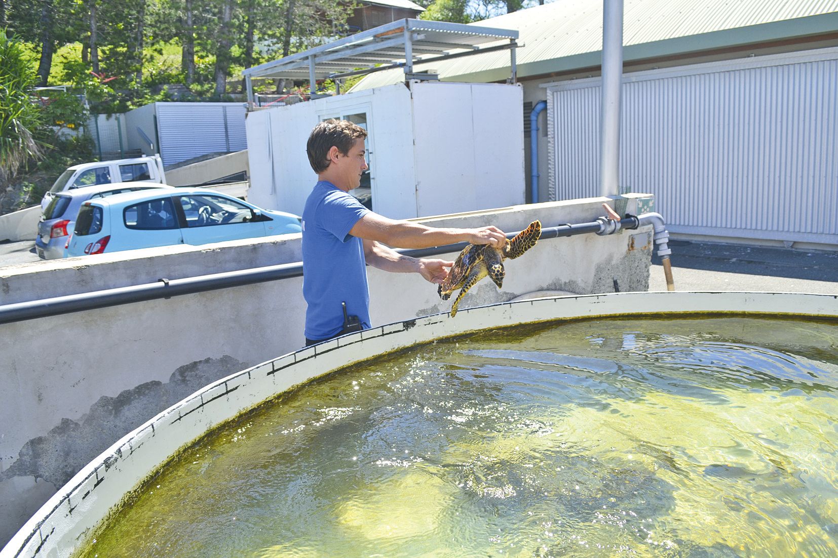 A 14 h 15, Juliette est sortie du bassin. Elle a d’abord été présentée au public dans la grande salle de l’aquarium.