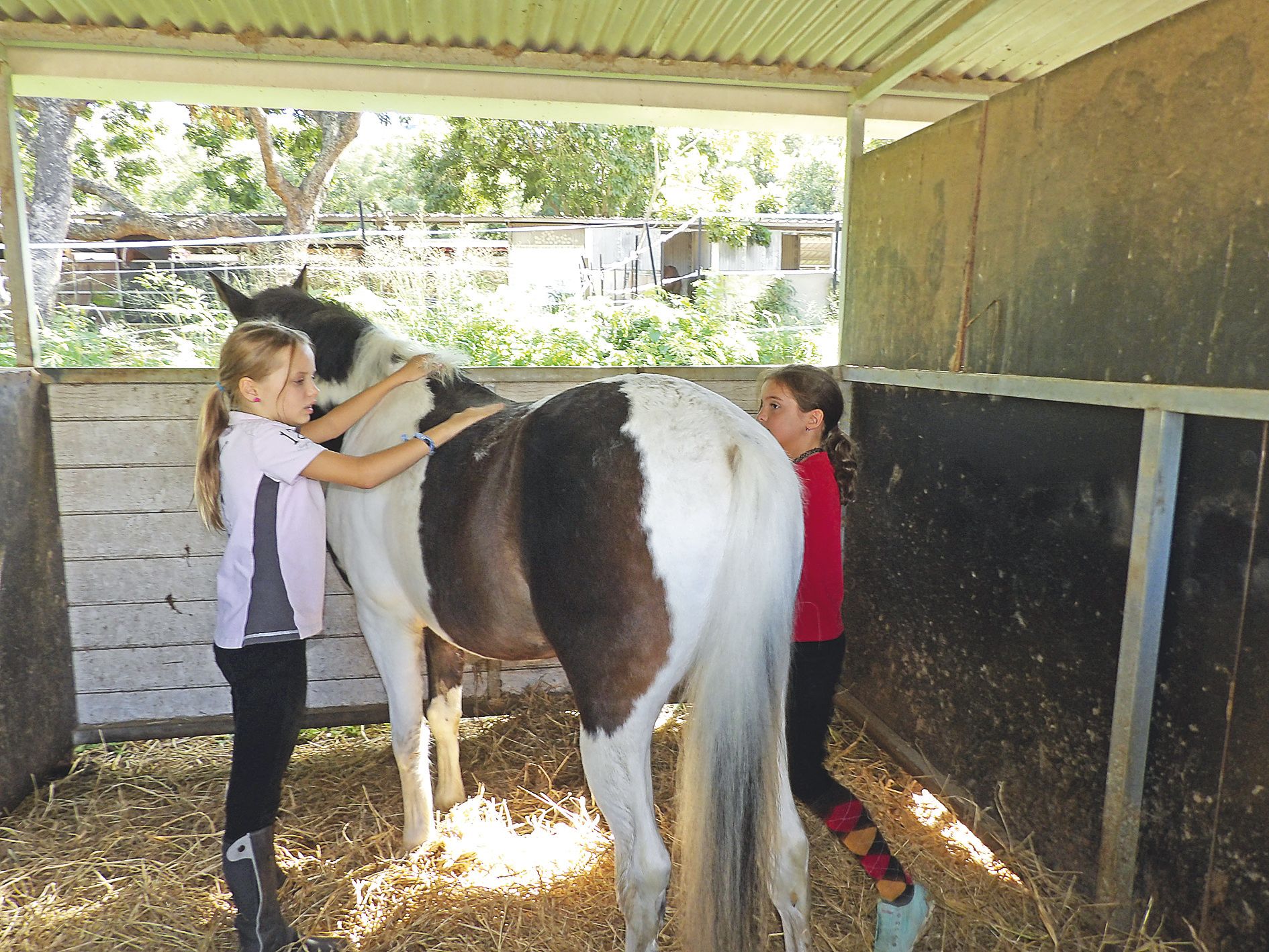 Dès la fin des cours le mercredi, les enfants arrivent pour  préparer les poneys et passent la journée en leur compagnie.