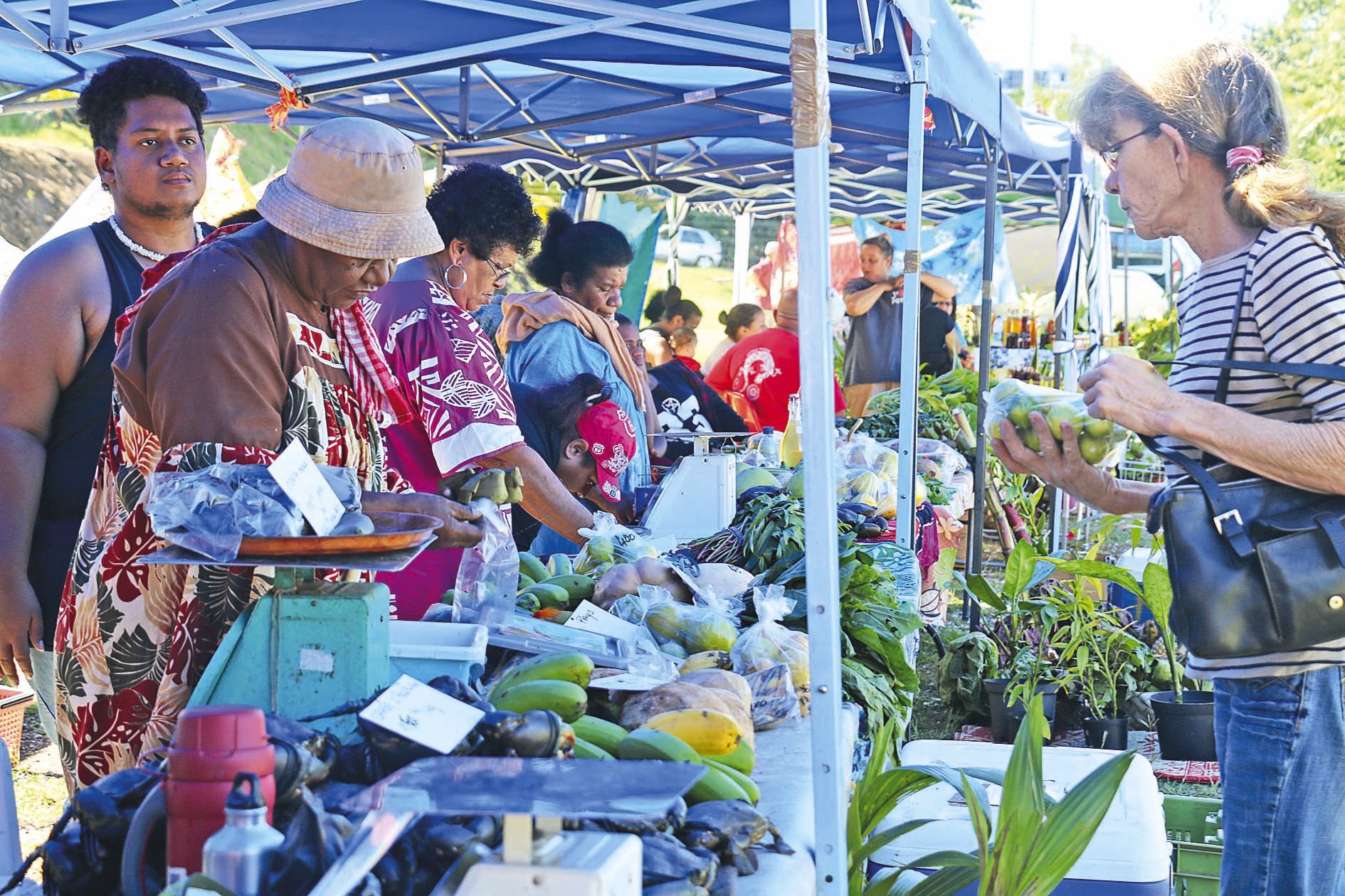 Magenta. Descendue pour l’occasion, l’association du marché de Poya a proposé ses plus beaux produits, samedi, sur le parking de Champion. « Malgré Cook, on est là », a expliqué sa présidente, Danielle Sakoumory, soulignant les pertes subies dans le Nord.