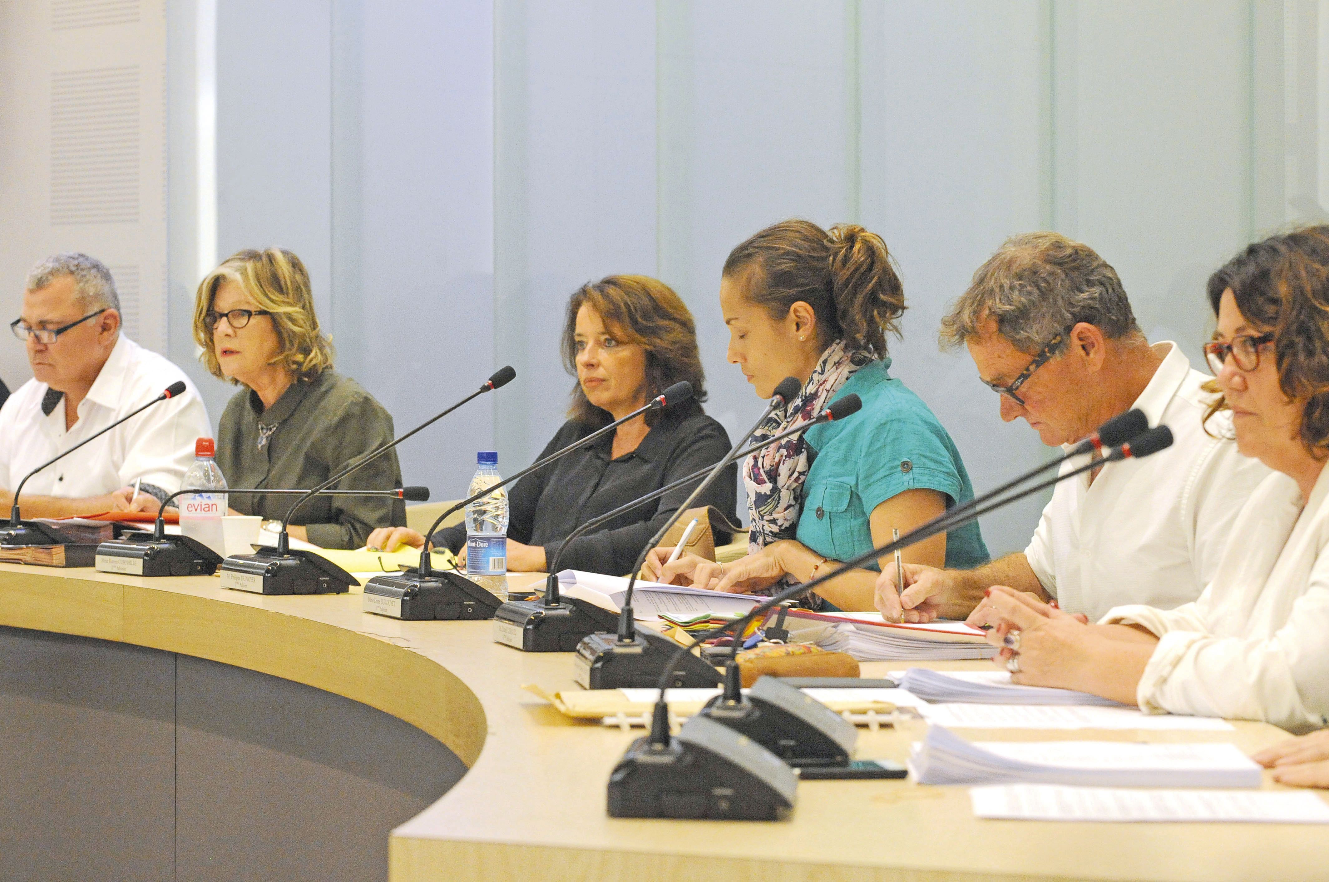 La méthode retenue pour la mise en œuvre du programme a suscité le débat, mardi soir, en conseil municipal.