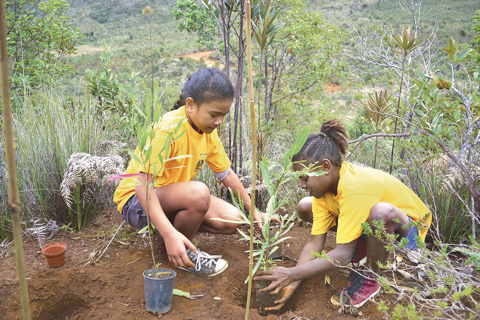 Après avoir écouté avec attention les consignes données par le pépiniériste, les enfants ont enchaîné les plantations avec le même entrain et la même minutie.