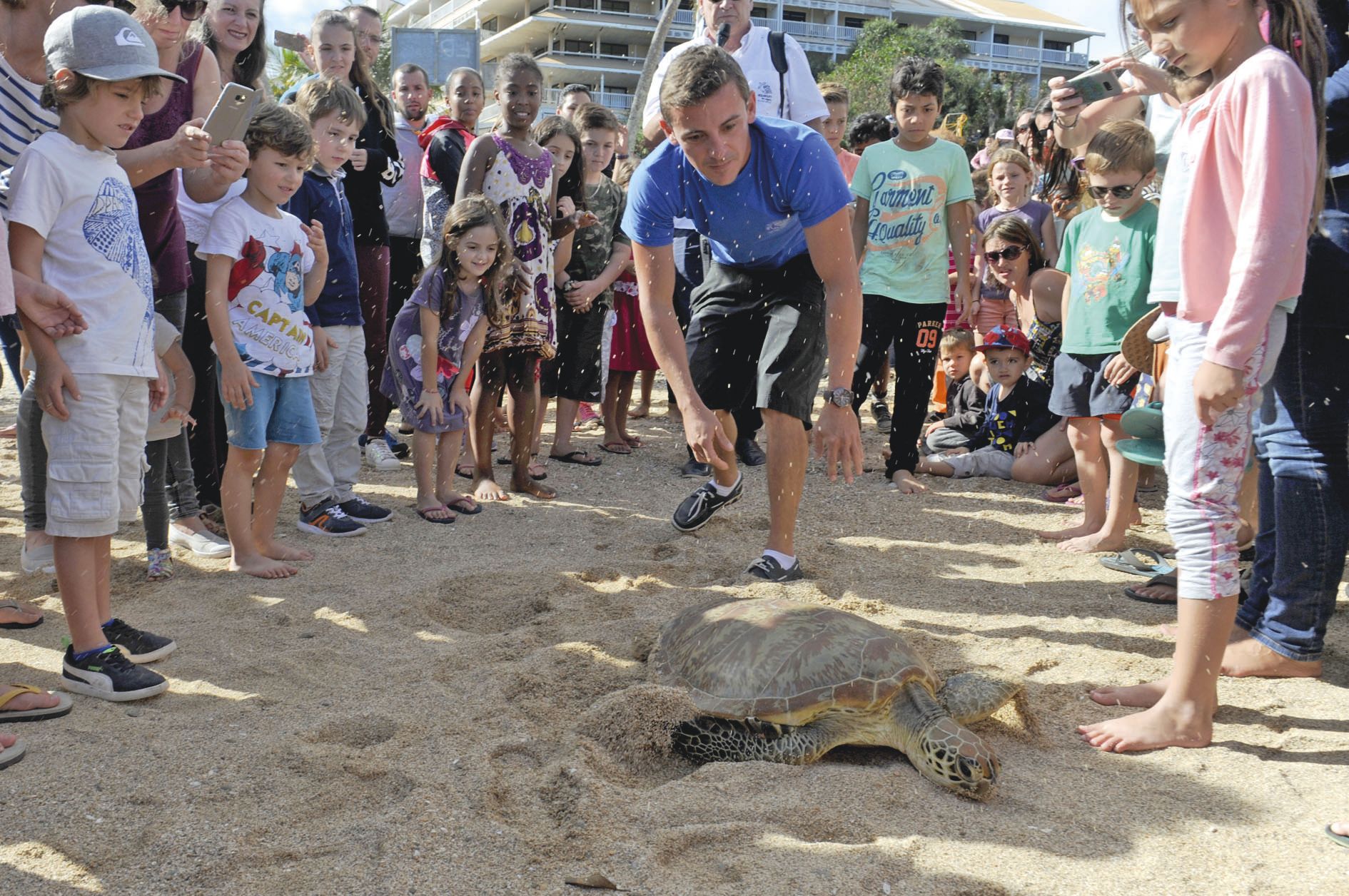 Dimanche, le public a pu découvrir gratuitement l’Aquarium et ses coulisses toute la journée, à l’occasion de visites guidées toutes les 30 minutes. L’après-midi, l’établissement a rendu la liberté à l’un de ses petits pensionnaires, une tortue prête à re