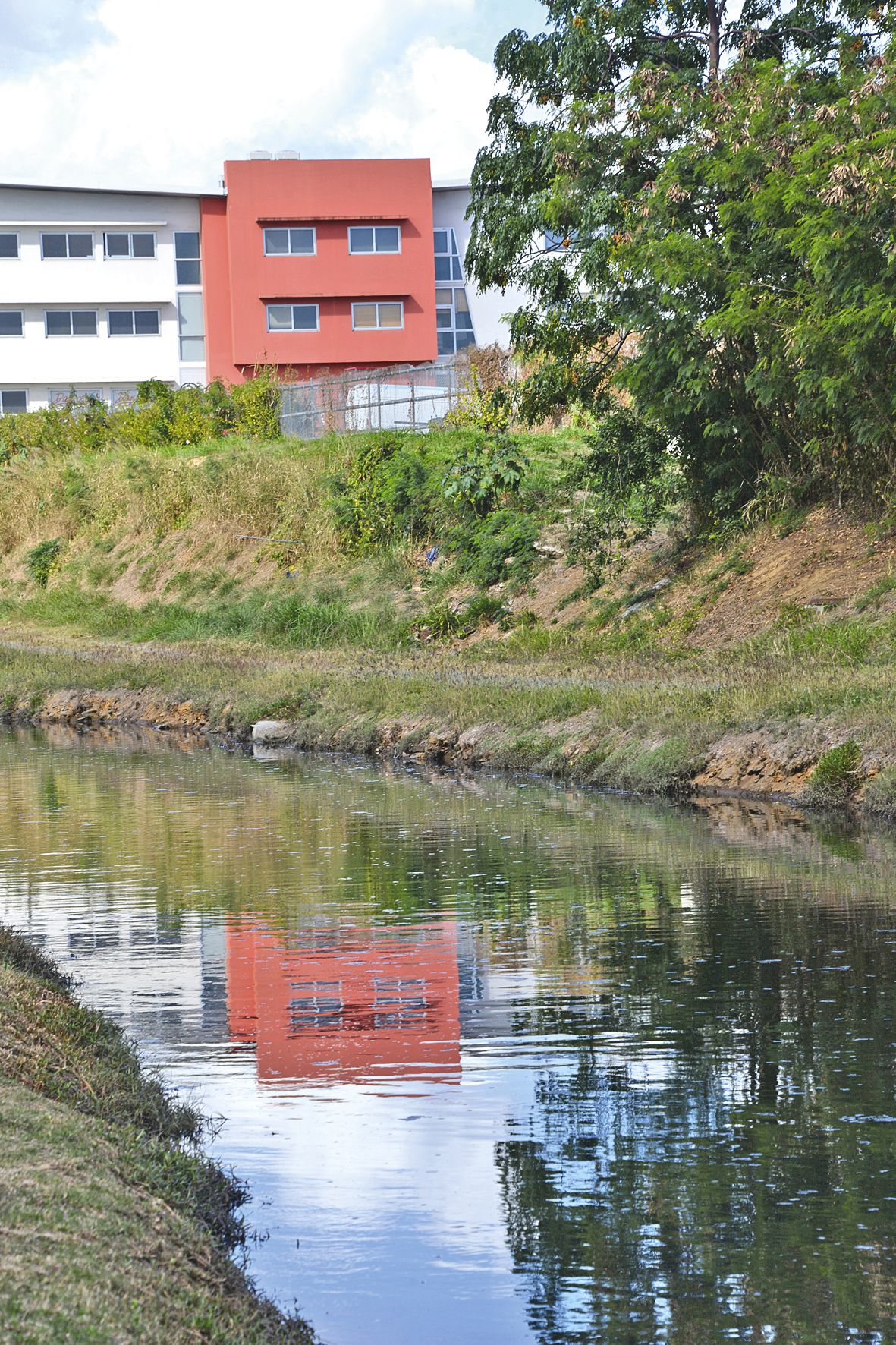 L’arroyo du 6e km est également en lien avec la mangrove de Rivière-Salée. Il assure la liaison entre cette dernière et la zone de mangrove des rues des Camélias et Dalmayrac. 