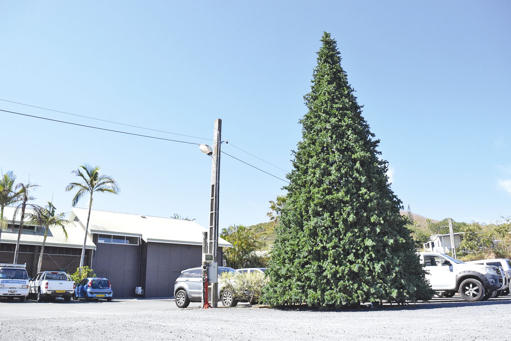 La jardinerie, au rond-point de Normandie, a ajouté une nouvelle plante à sa collection.  Un gigantesque sapin de Noël a poussé sur le parking du magasin, et de petites guirlandes y brillent la nuit.