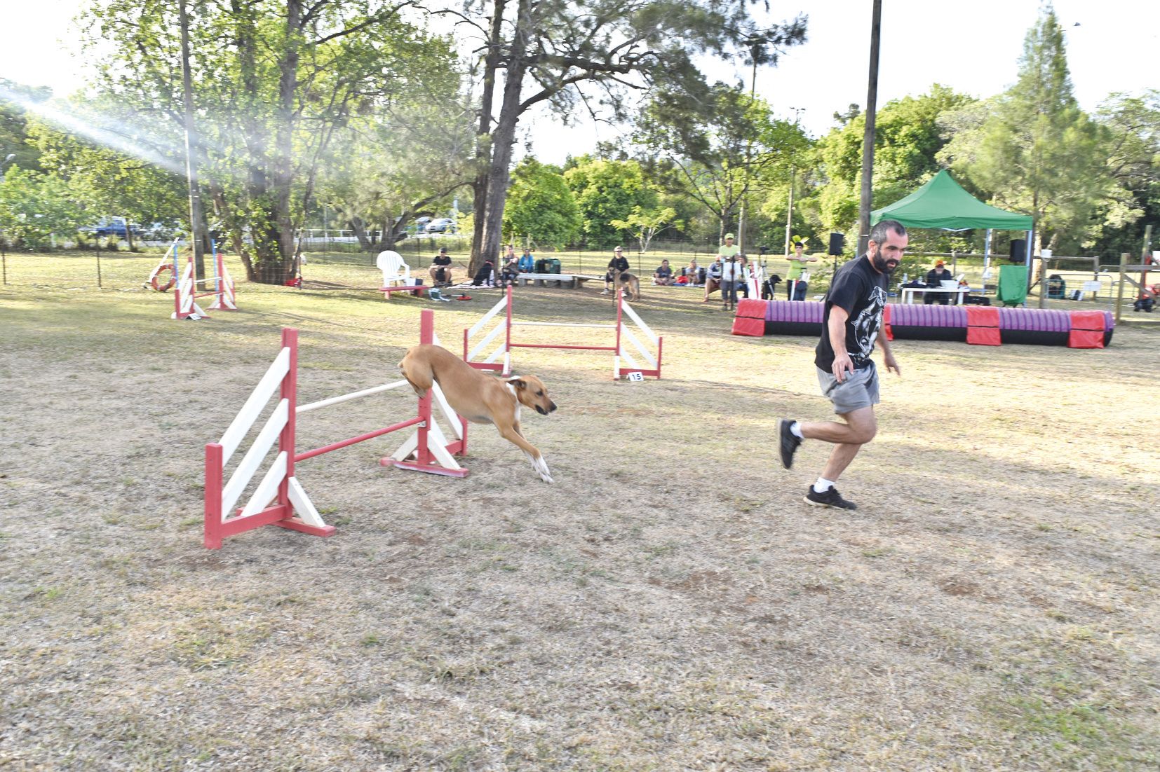 Le second concours d’Agility du mois organisé par le Club canin de Dumbéa s’est déroulé samedi en fin d’après-midi. Cette fois-ci, les participants et leurs compagnons ont été jugés sur un parcours de 16 obstacles. Un défi pour les concurrents car la disc