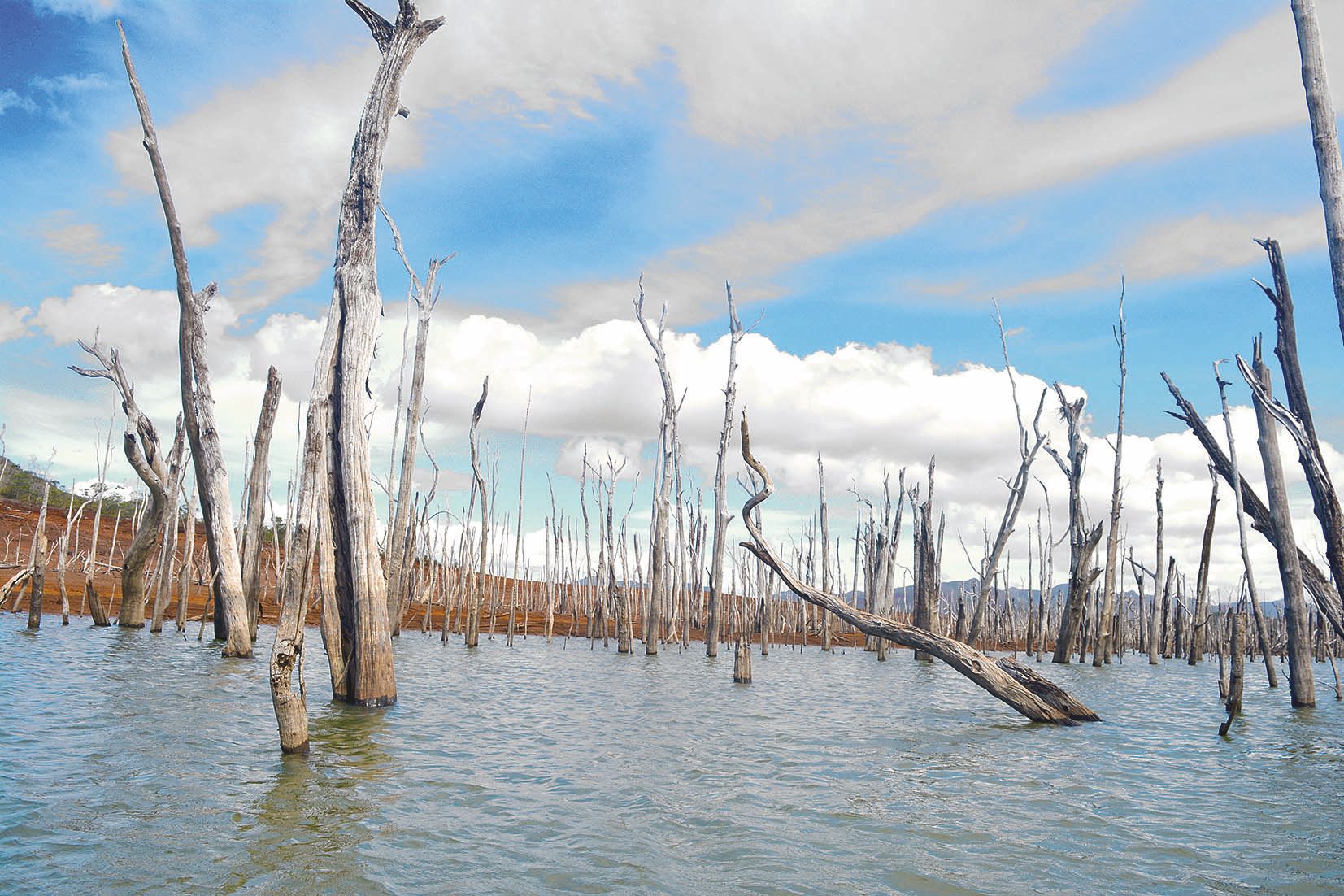 Au fil du parcours, le lit de la rivière s’élargit. A tel point que, vers l’arrivée, la forêt Noyée offre encore son fameux paysage classique de carte postale.