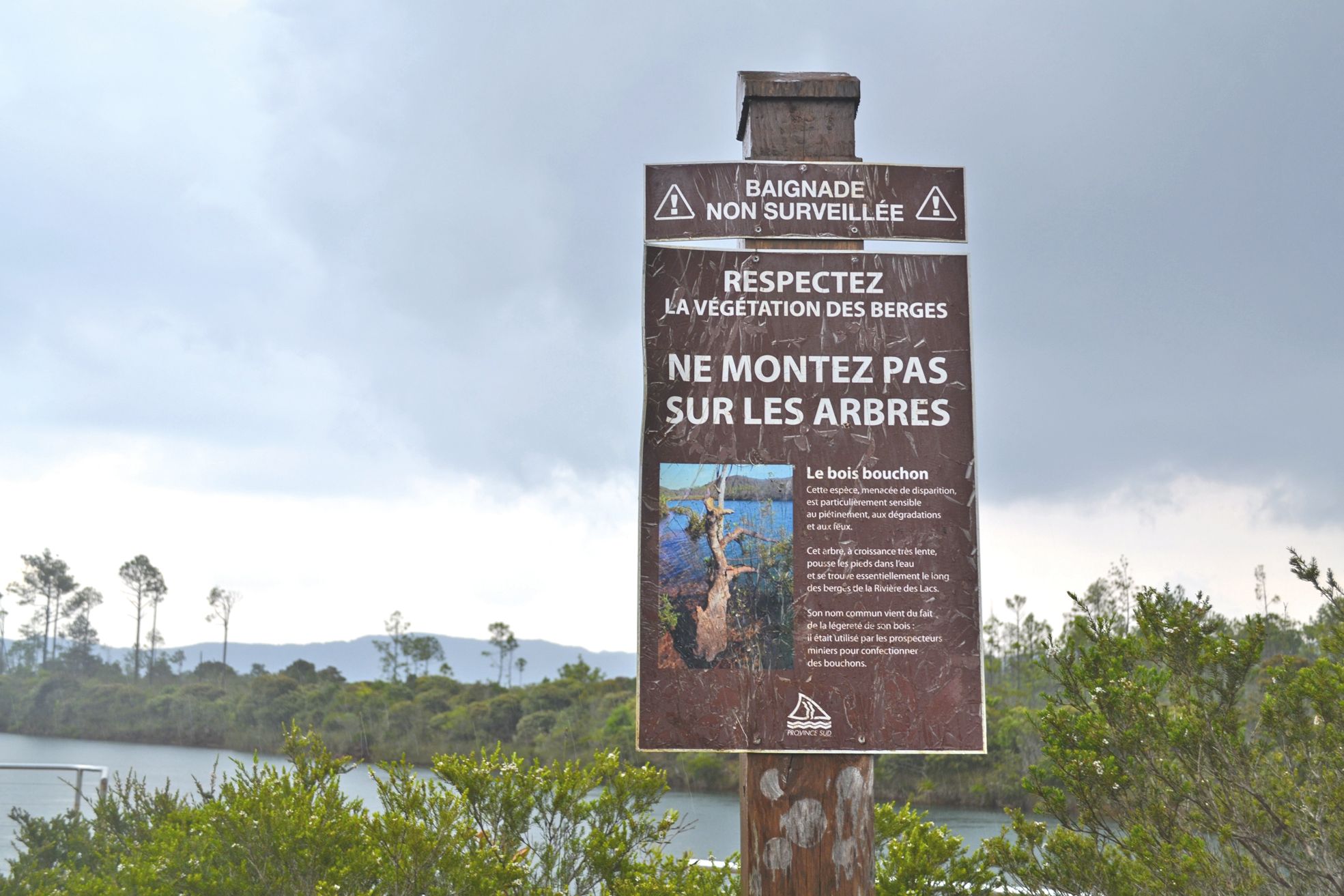 À La Netcha, le panneau d’interdiction de grimper aux arbres précise bien que le bois bouchon est « une espèce menacée de disparition, particulièrement sensible au piétinement, aux dégradations et aux feux. »