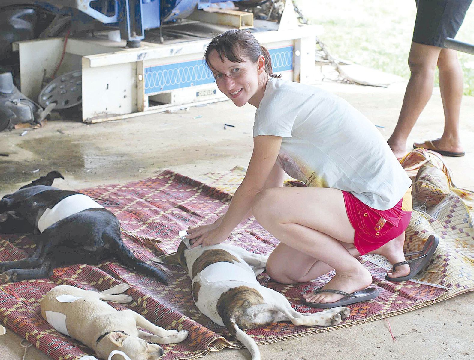 A la tribu de Komagna, les chiens opérés ont été positionnés sur des nattes en attendant leur réveil, sous l’œil bienveillant de Marie Martin, la présidente de Bien naître animal.