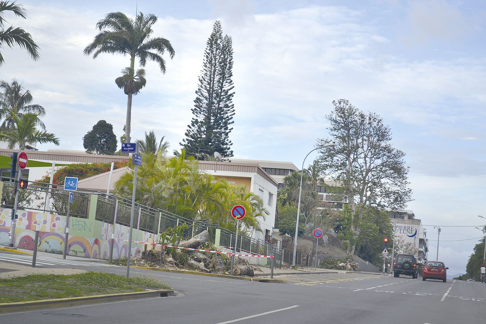 Des tulipiers du Gabon ont été abattus, à l’école Bichon. « L’un d’eux, termité, est tombé. Nous n’avons pas pris de risque », explique Nicolas Rolland, à la division paysages et patrimoine végétal.