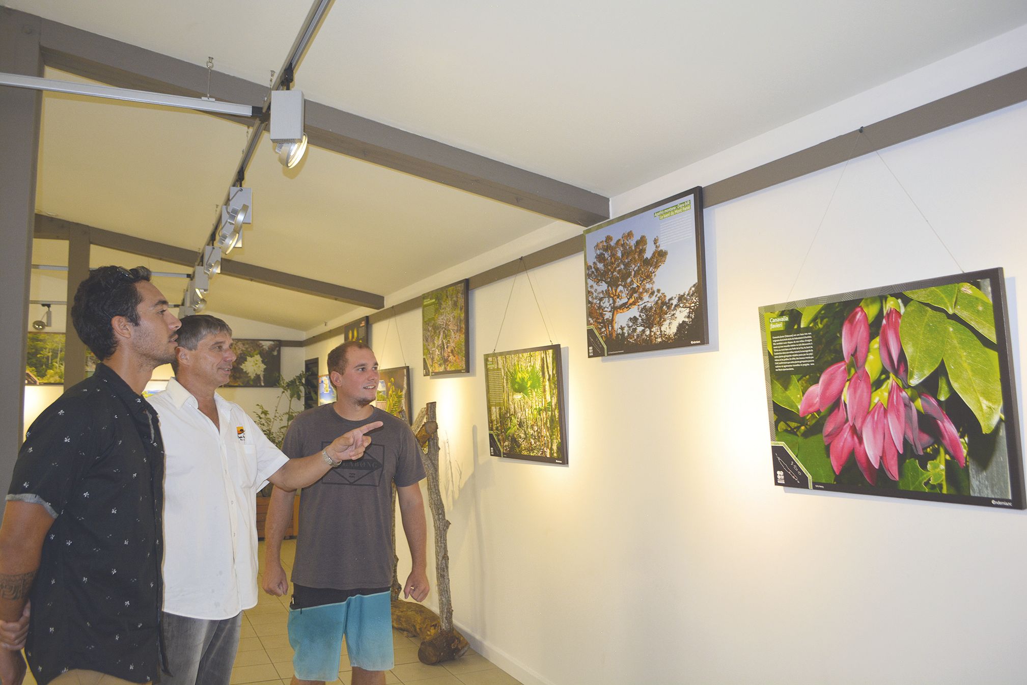 Au cours de cette soirée d’échange et de partage sur la flore, le public en a profité pour visiter l’exposition photographique « Danger critique d’extinction. Un voyage dans la flore menacée de Nouvelle-Calédonie », qui se tient à la maison de Déva. « Cet