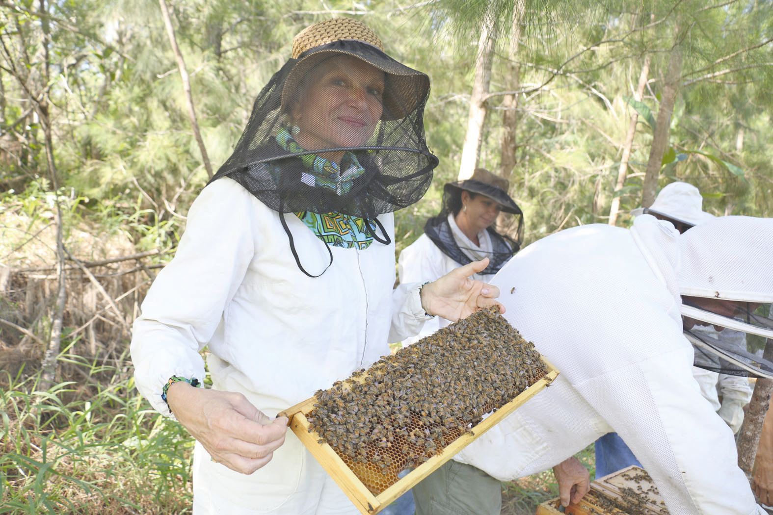 Laurette Thouzeau gère avec André Saligné le rucher Natcha. Ils en ont quatre sur Païta, sur le terrain de Liliane Pijcke.