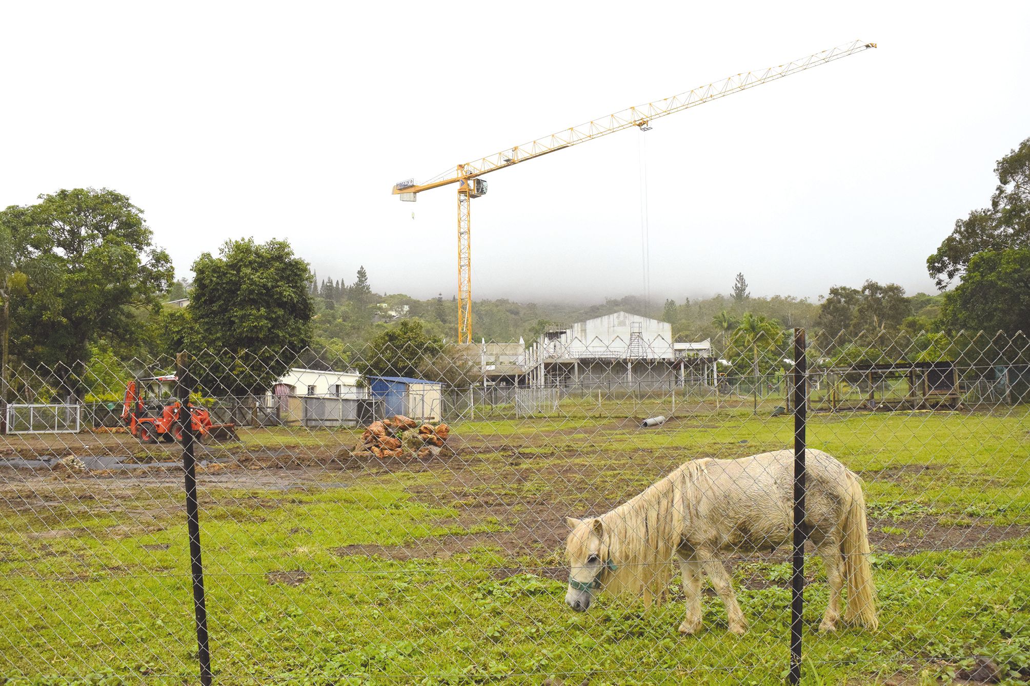 L’Ehpad abrite trois poneys, un mouton, un bouc, un cerf, des poules, le chat Mickey et bientôt des canards.