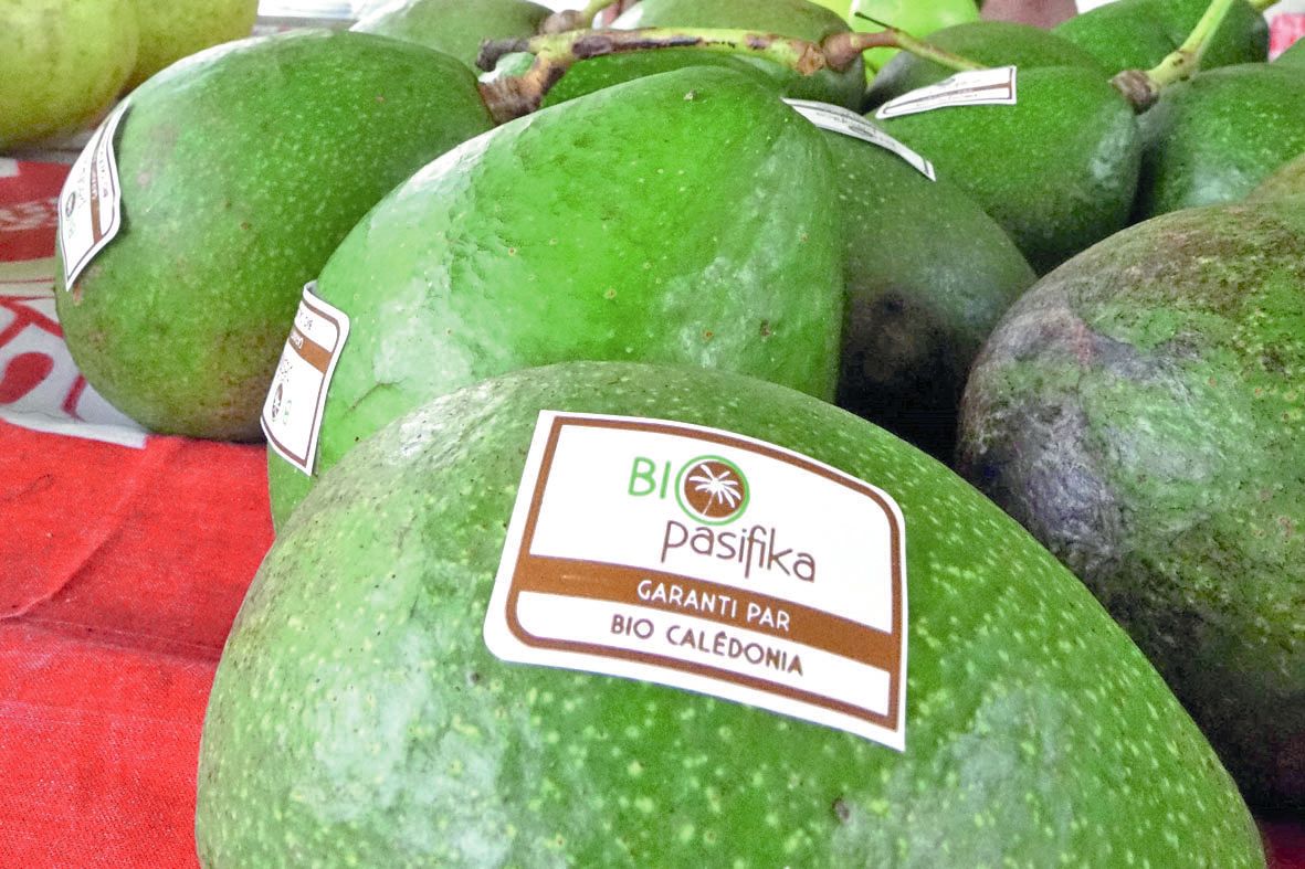 Les producteurs bio de Maré sont certifiés par l’organisme Bio Calédonia, partenaire du marché. « C’est une façon d’accompagner les producteurs pour la promotion du bio », a précisé Frédéric Pallet, animateur. Leurs produits bénéficient du label Bio Pacif