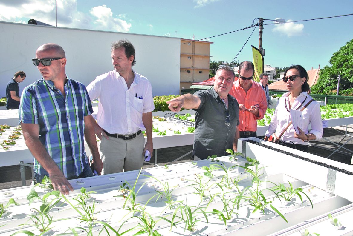 Parmi les visiteurs hier, la délégation municipale s’est montrée très intéressée par les tables d’agriculture hors-sol présentées.