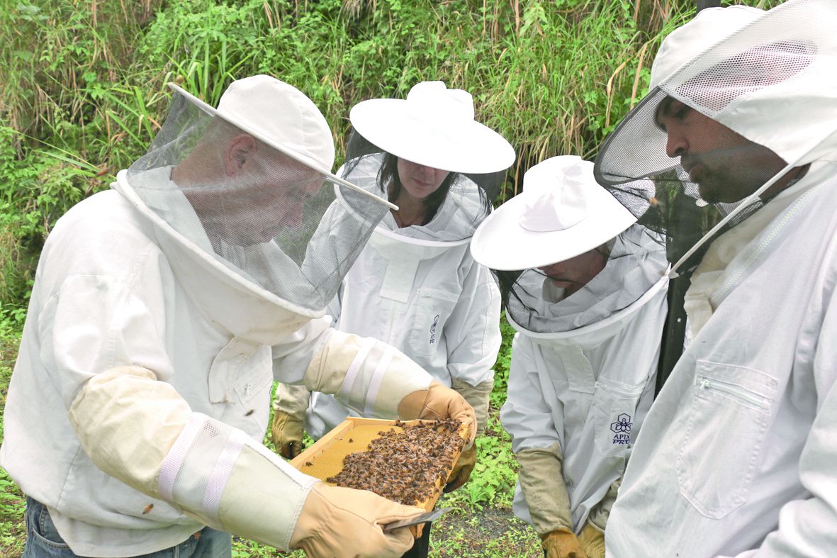 Frédéric Chatelain (à gauche) a fait découvrir ses protégées aux enseignants pour la plupart peu familiers avec l’apiculture.