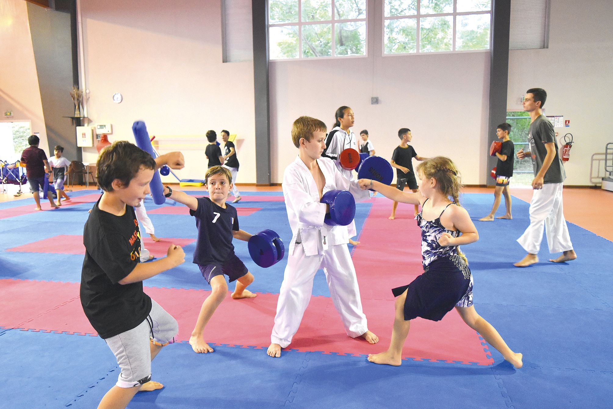 Une vingtaine d’enfants de 6 à 13 ans participent cette semaine  au stage organisé par l’association Karaté Auteuil,  à la salle Jean-Robert-Monnier.