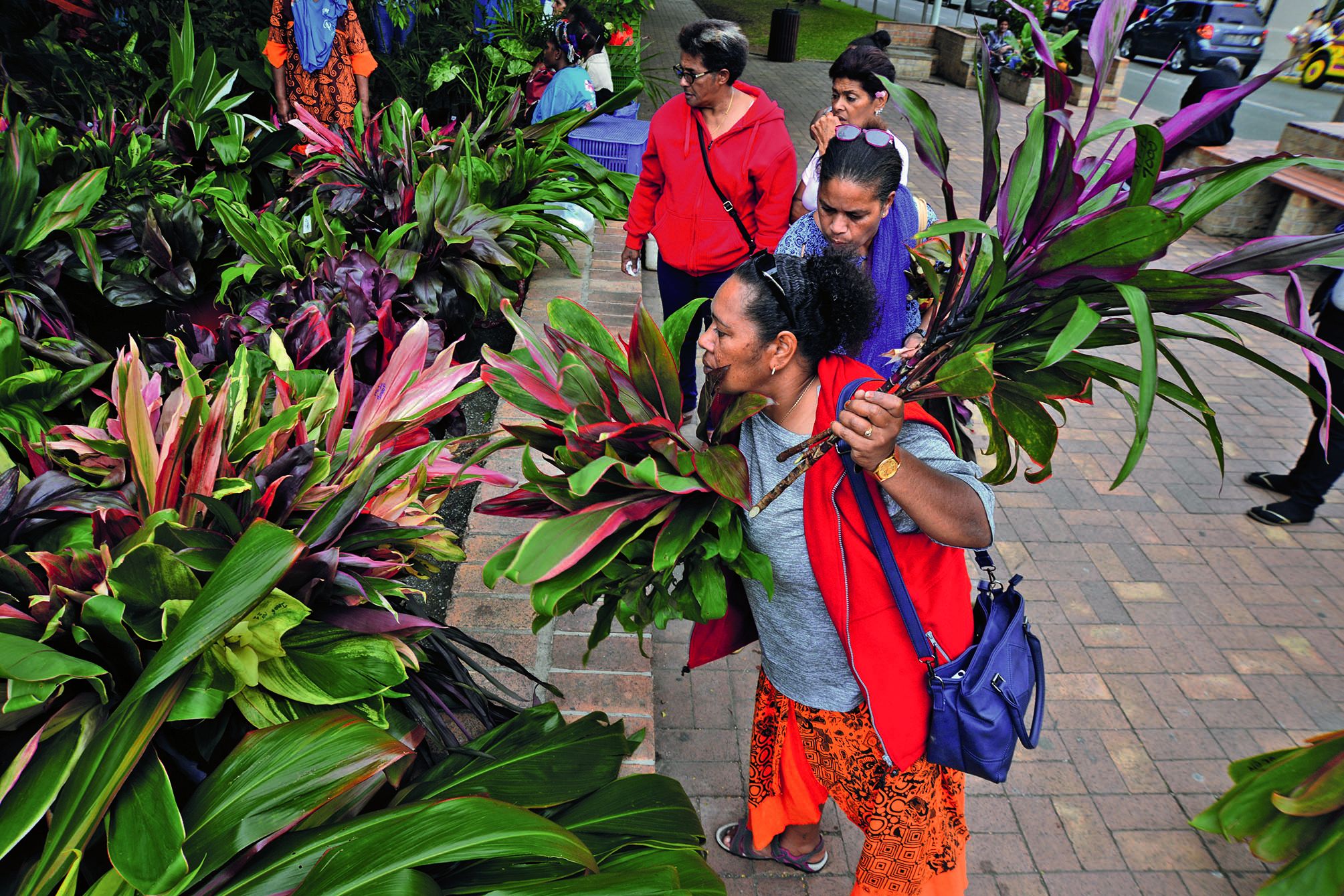 Comme toujours, les plantes ont eu un énorme succès. Crotons, coléus, cordylines, broméliacées, les femmes du Nord ont gâté les Nouméens. 