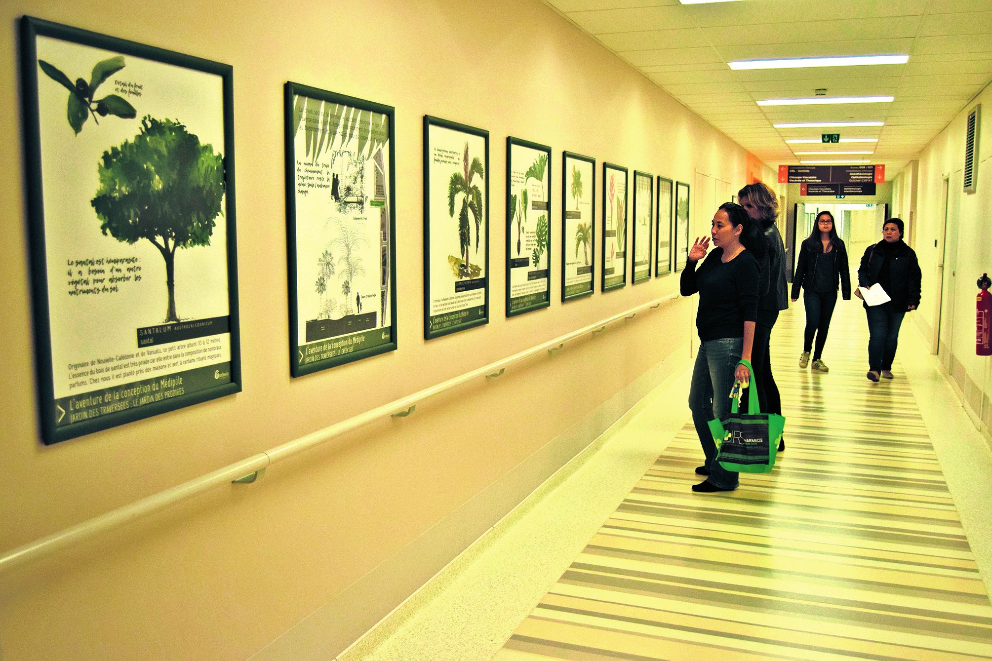 Les quarante cadres accrochés dans les couloirs permettent de découvrir les plantes des jardins de l’hôpital. 