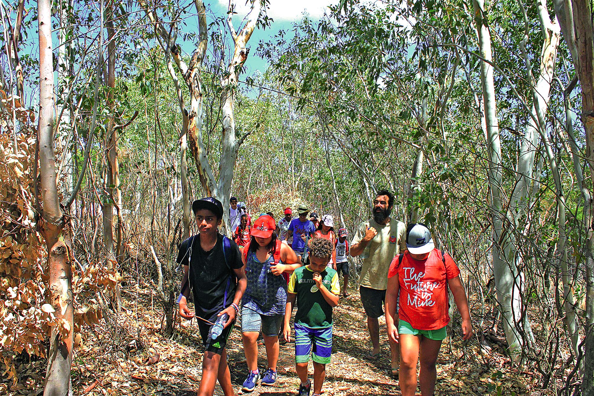 Le groupe des grands est parti à la découverte de la forêt d’eucalyptus du site de Poingam sous la conduite de Thibault.