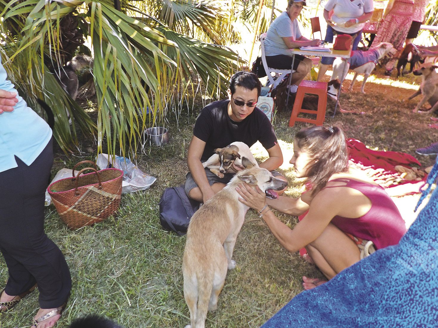 Une trentaine de chiens était au rendez-vous de la première matinée d\'adoption de la bande à Nounou au parc Brunelet hier. Trois d’entre eux ont trouvé une famille. La prochaine matinée d’adoption aura lieu sur le même site le 17 mars dès 8 heures. Photo