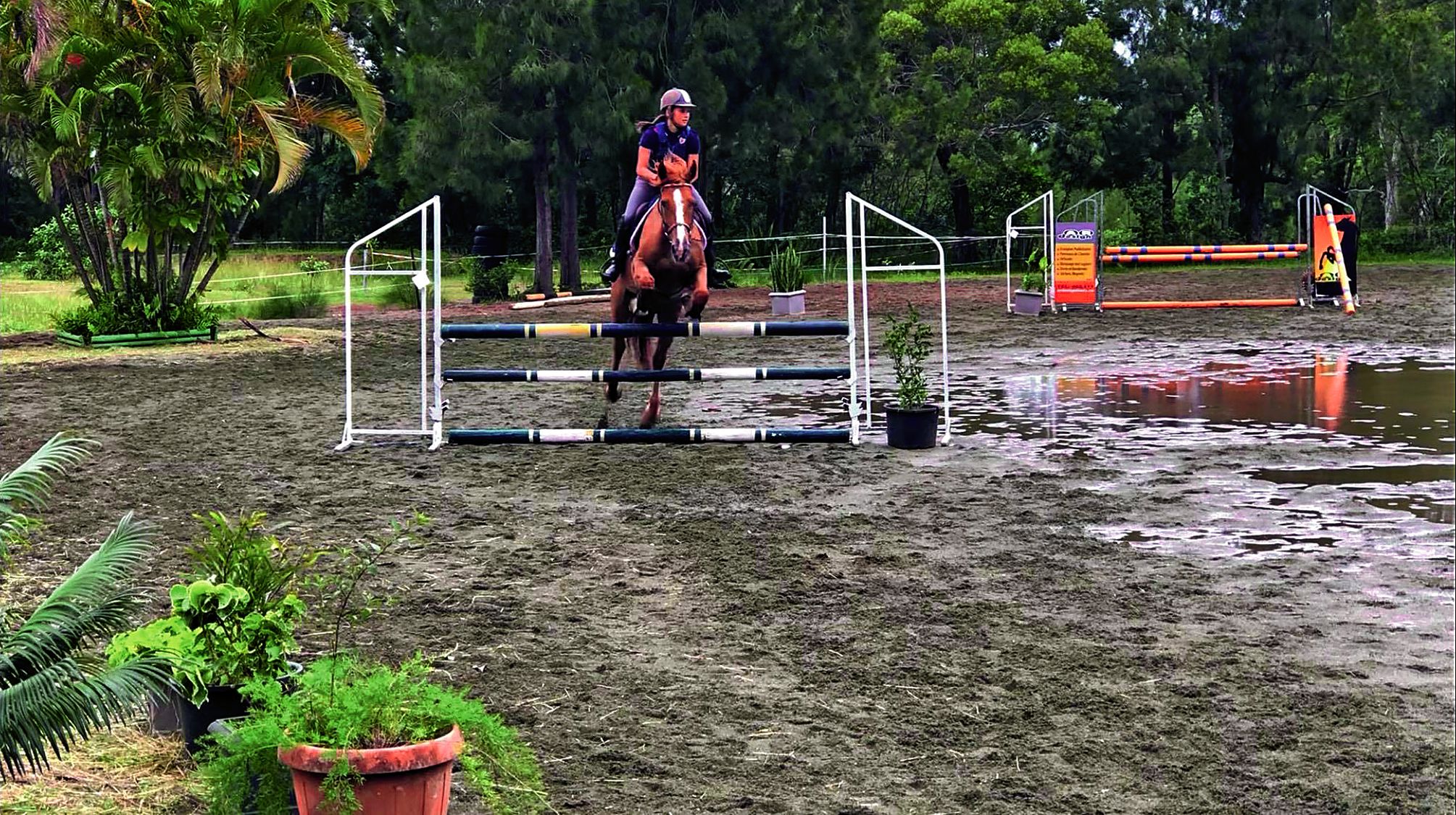 Exceptionnellement pour la journée, un concours intraclub a été organisé par La Cravache.  Le temps capricieux n’a pas découragé les jeunes cavaliers du centre équestre.Photo La Cravache