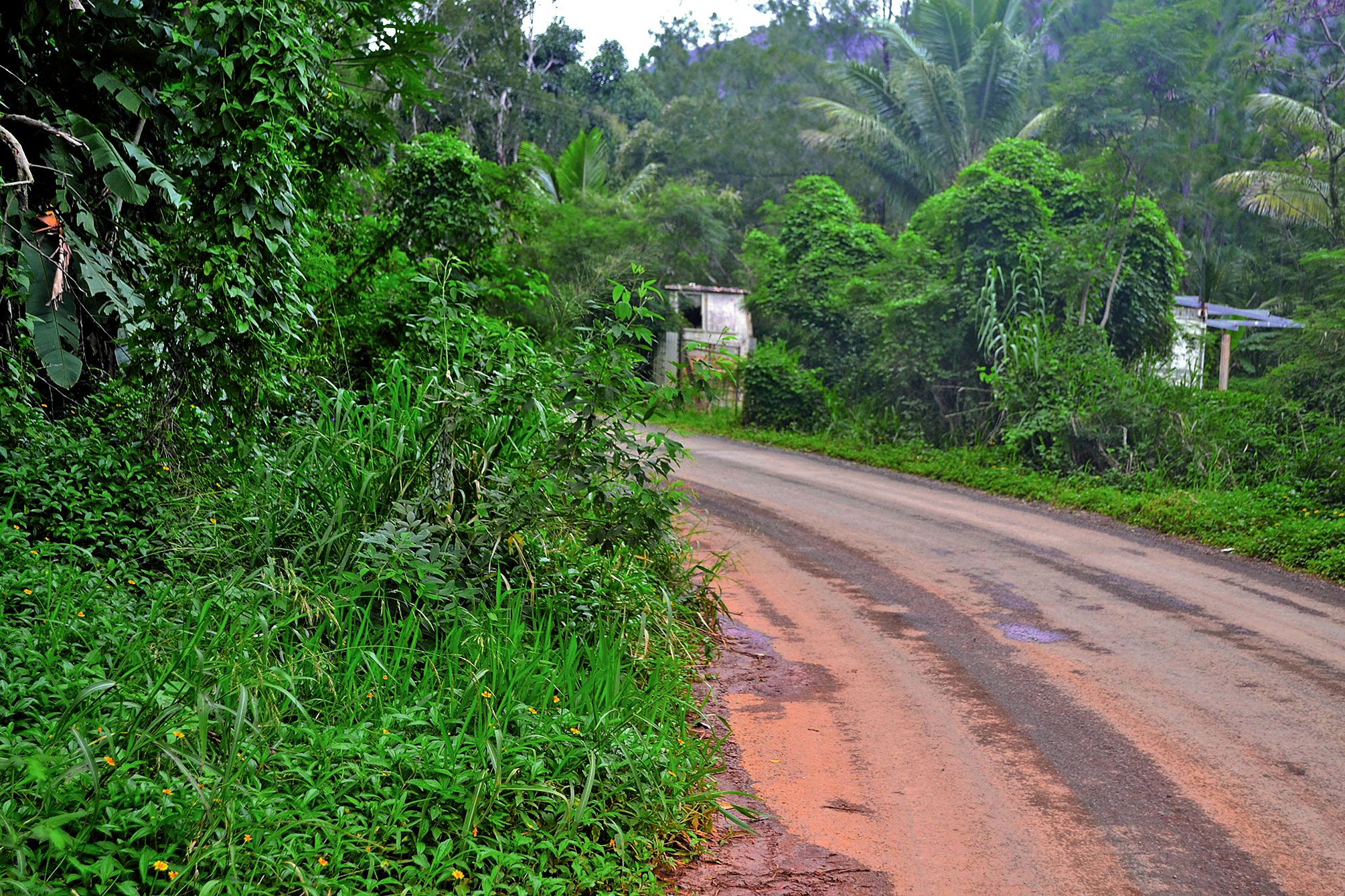 Route de la Montagne des sources, la commune souhaite revoir la chaussée avec 6 750 mètres carrés de bicouche, un revêtement d’une qualité inférieure à l’enrobé et moins onéreux. 