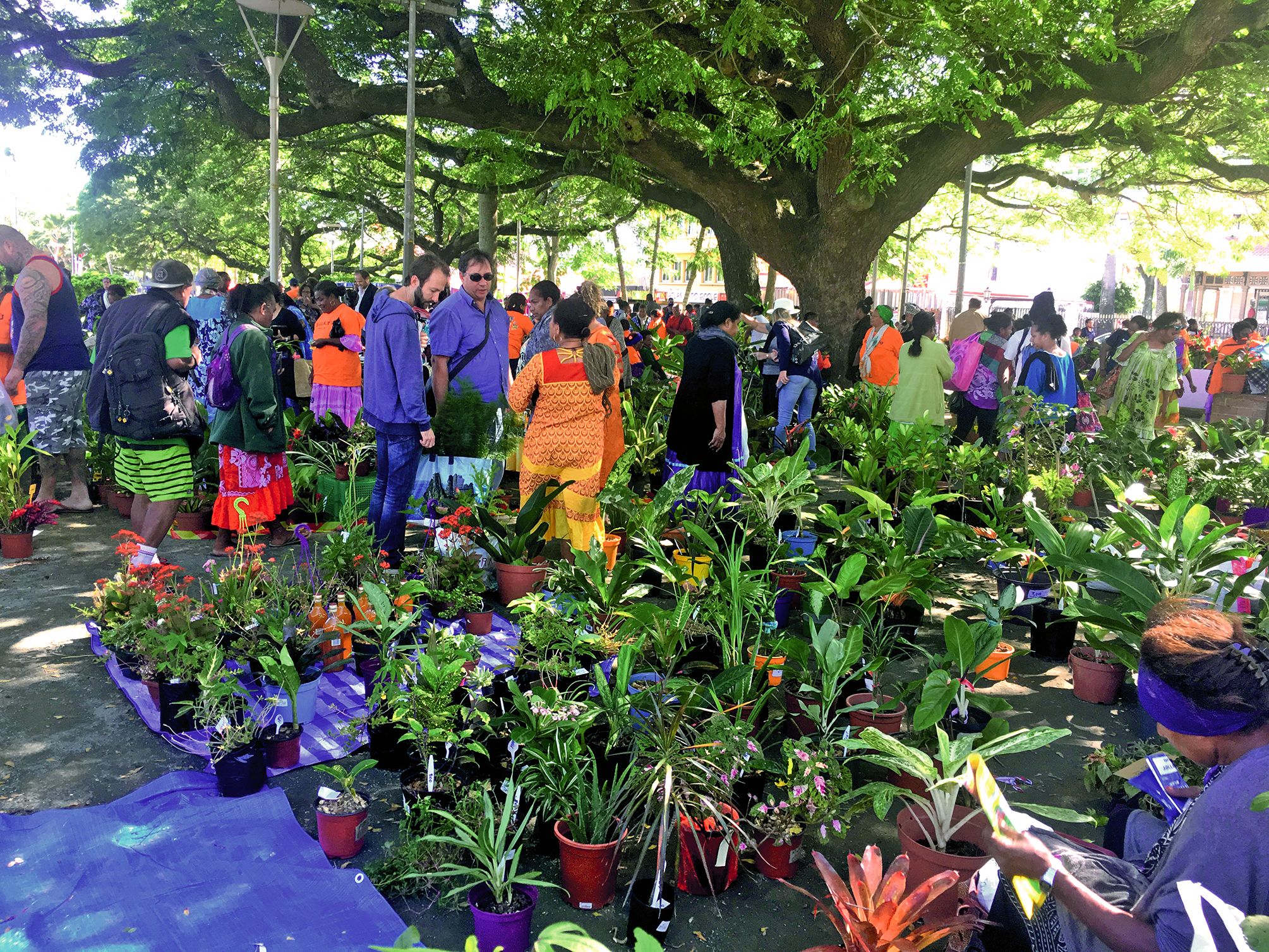 C’est le bon plan des amateurs de plantes. Les exposants le savent bien et proposent toujours plus de variétés chaque année. Les broméliacées ont toujours autant de succès, tout comme les roses du désert. Là aussi, la valeur ajoutée de l’événement reste l