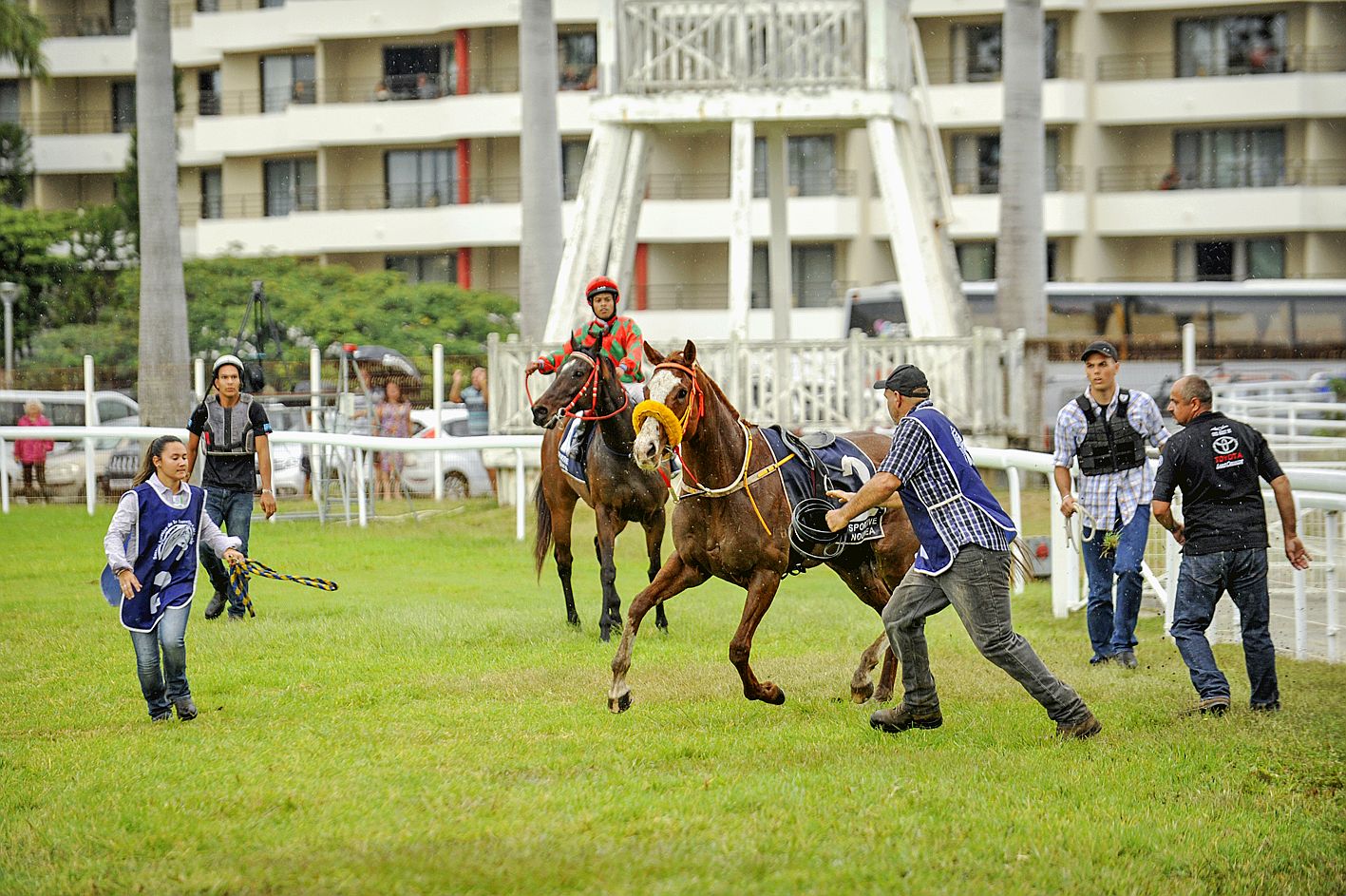 Après la chute de son jockey, lequel a ensuite manqué de se faire piétiner par un autre cheval en bout de dernière ligne droite, Beyond Style ne s’est pas laissé attraper facilement. 