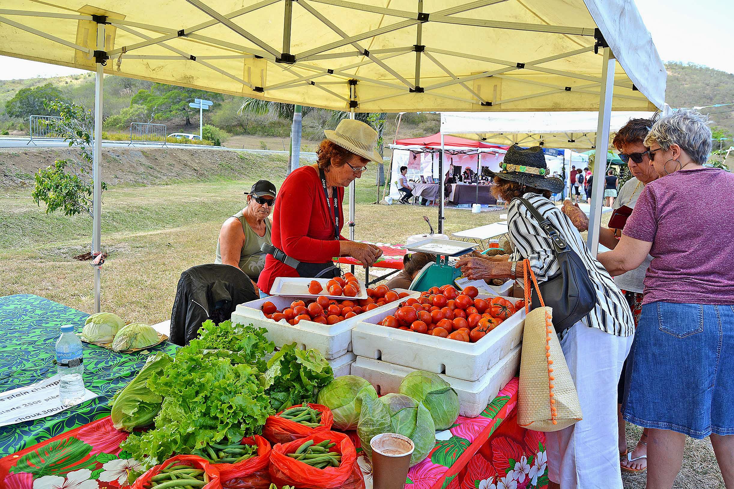 Sur le stand de la famille Burguiere, les visiteurs ont pu faire le plein de légumes bio de saison. « L’idée pour nous, ce n’est pas de faire venir uniquement des gens de Nouméa sur Bourail, mais aussi de tisser du lien avec les gens de Bourail. Cette ann