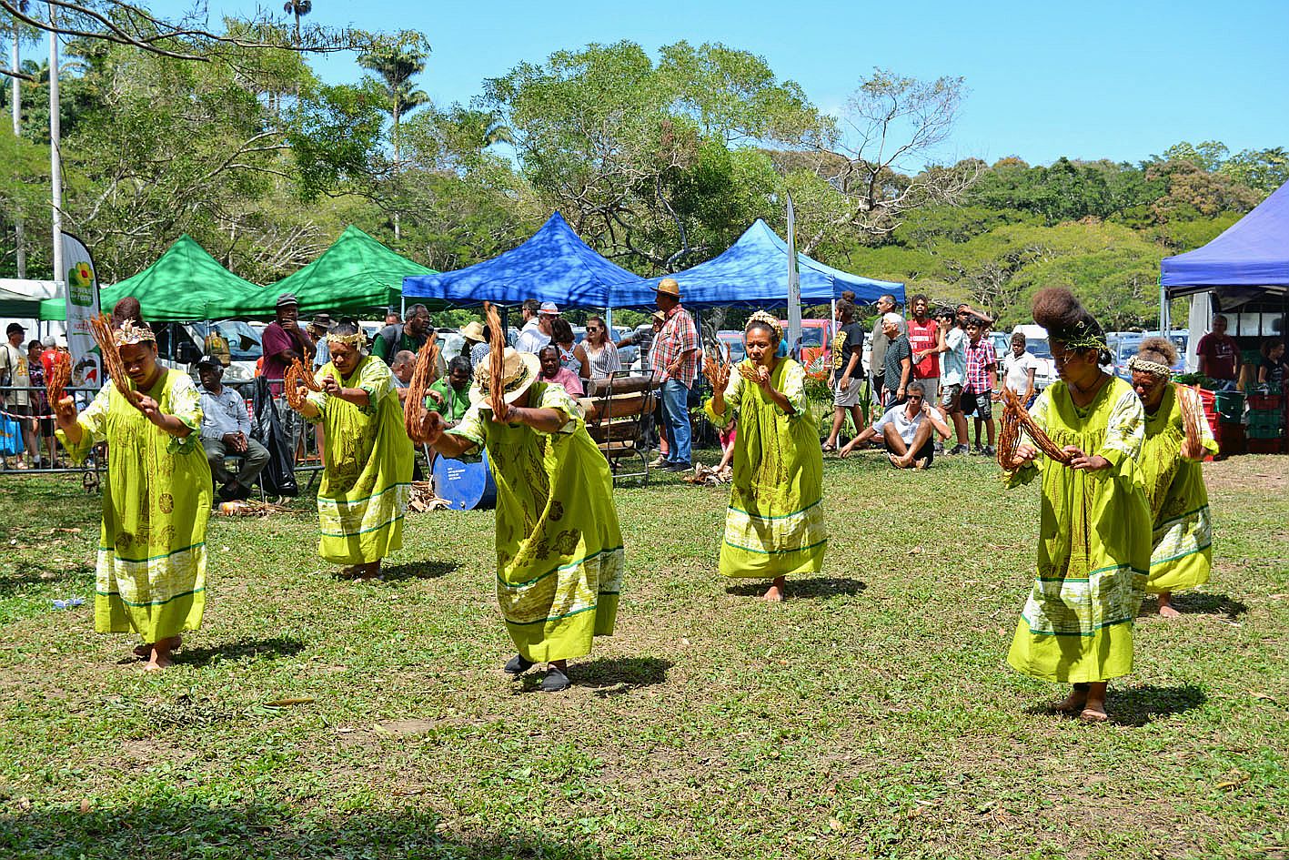 Danses polynésiennes, wallisiennes et mélanésiennes, comme ici avec la troupe Mwêyâ de Moméa, ont rythmé cette journée paysanne.