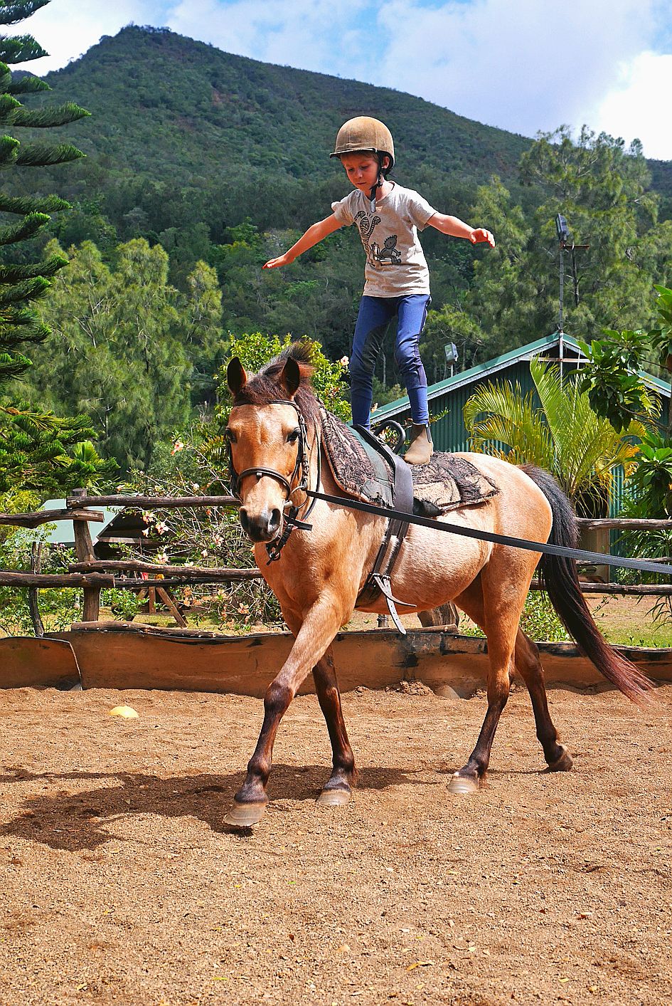 Dans un décor de rêve, Esteban pratique la voltige. Le Yala ranch propose des stages pour tous les niveaux dès la crèche, à partir de 2 ans. Les tout petits commencent par monter sur des poneys. Plus sérieux, un stage d’obstacles étalé sur trois jours est