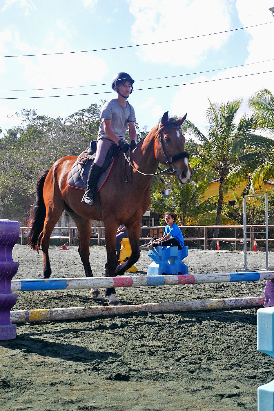 Magenta. À la Gourmette, qui propose des stages de cheval, les enfants travaillent les sauts d’obstacle afin de se sentir plus à l’aise sur leur monture. Pour les plus grands, c’est un peu plus sérieux pour ceux qui préparent les examens qu’ils passeront 