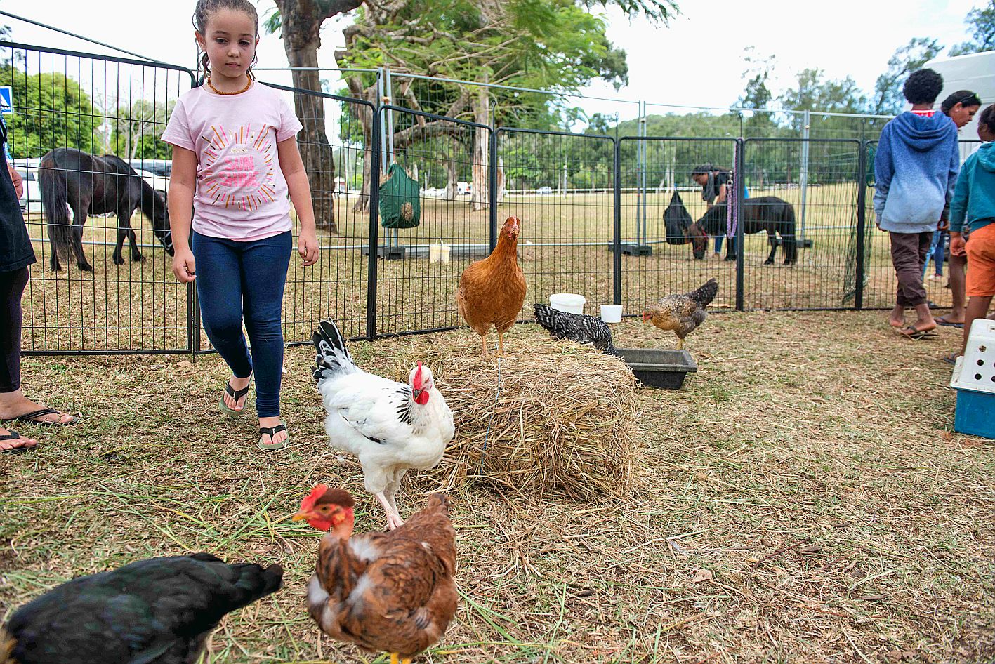 La petite ferme reste un refuge privilégié pour les enfants. Ces derniers ne se sont pas privés pour passer quelques instants en compagnie des poules, des agneaux et des poneys. Photo Ville de Dumbéa