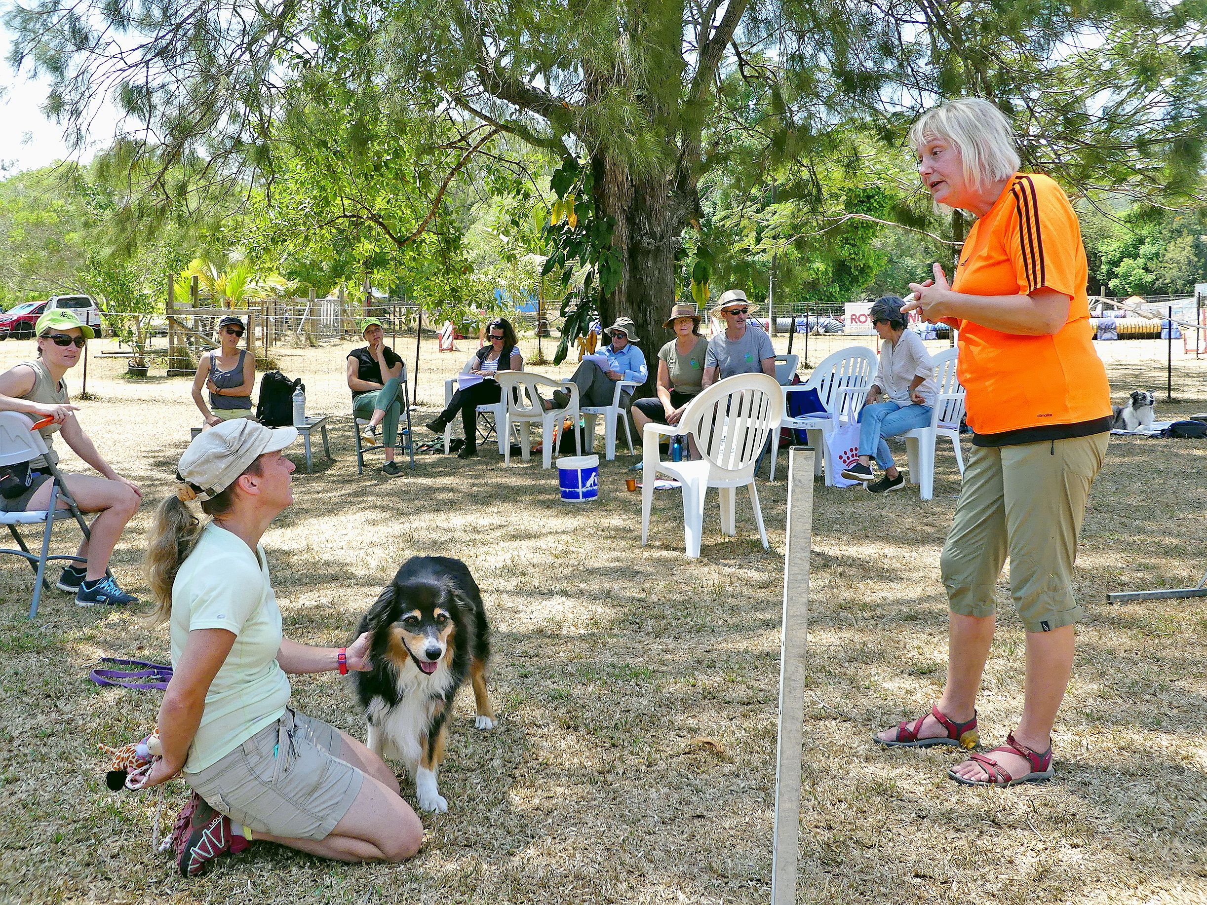 Le Club canin a eu un week-end bien rempli, à Dumbéa-Rivière. Après un concours d’agility, samedi, une formation d’obéissance (notre photo) a été dispensée, dimanche, par la professionnelle suédoise Maria Brandel. Des formations d’instructeurs-moniteurs p