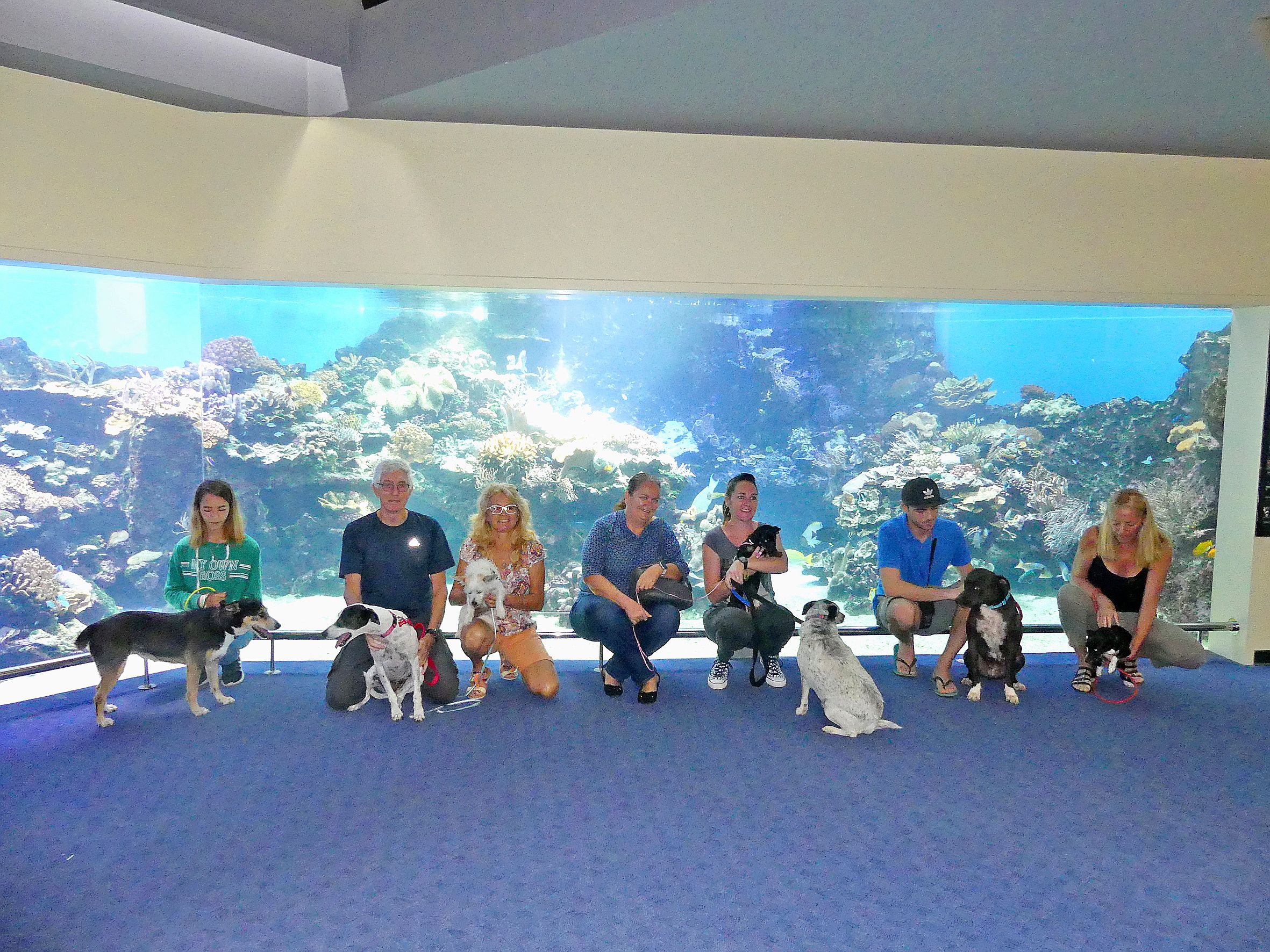 Photo de famille en fin de séance, les chiens ont aussi été choisis pour leur calme. 