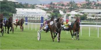 Et de quatre pour Nanou Française drivée par Angélique Derudder dans le trot attelé A.