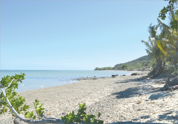 Le projet verrait le jour dans la sauvage baie d'Onghoué. Il prévoit aussi l'embauche d'un greffeur polynésien (en médaillon). Un métier très spécifique et recherché.