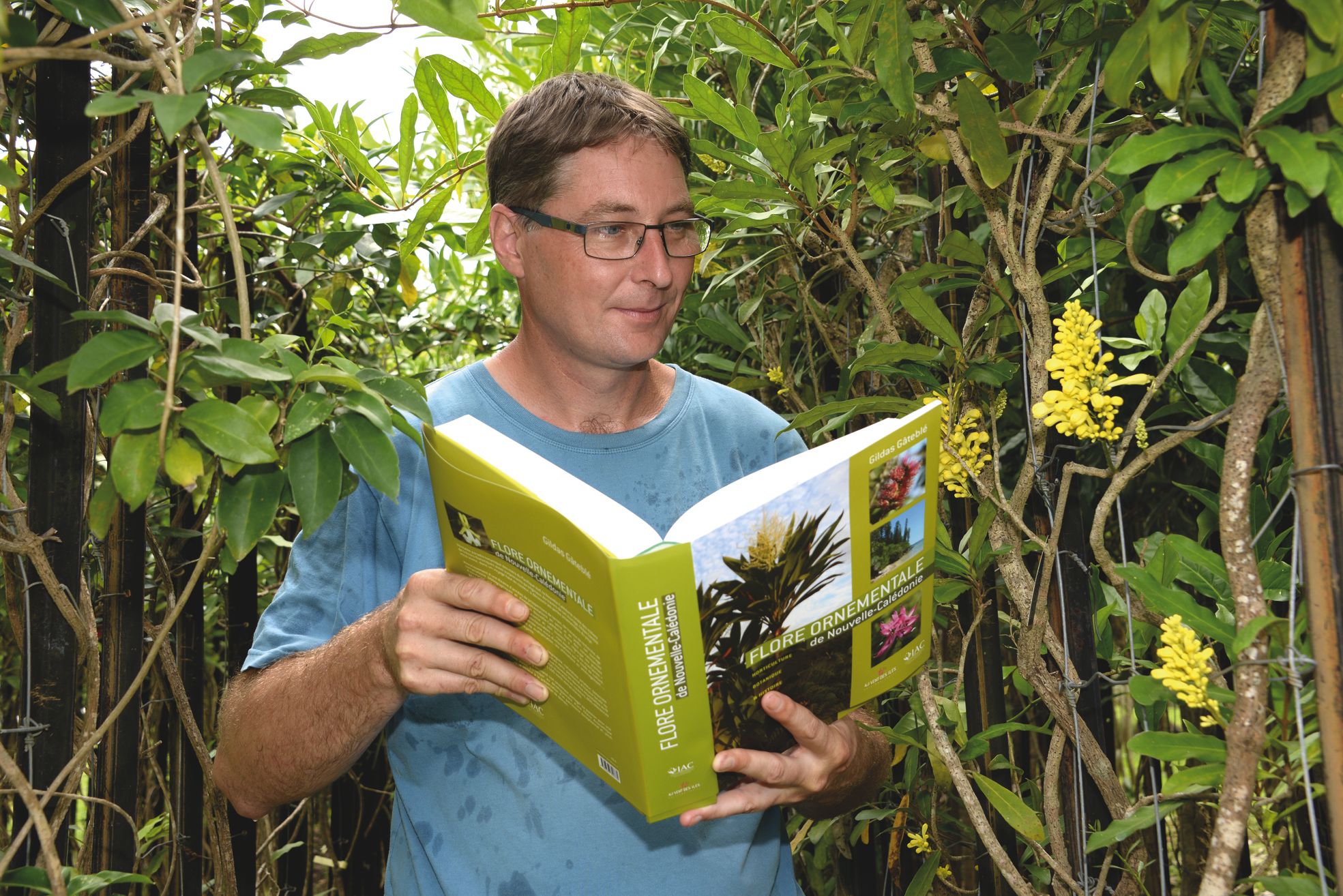 Futur ouvrage de référence, le livre de Gildas Gâteblé compile près de 355 fiches et couvre près de 700 espèces.