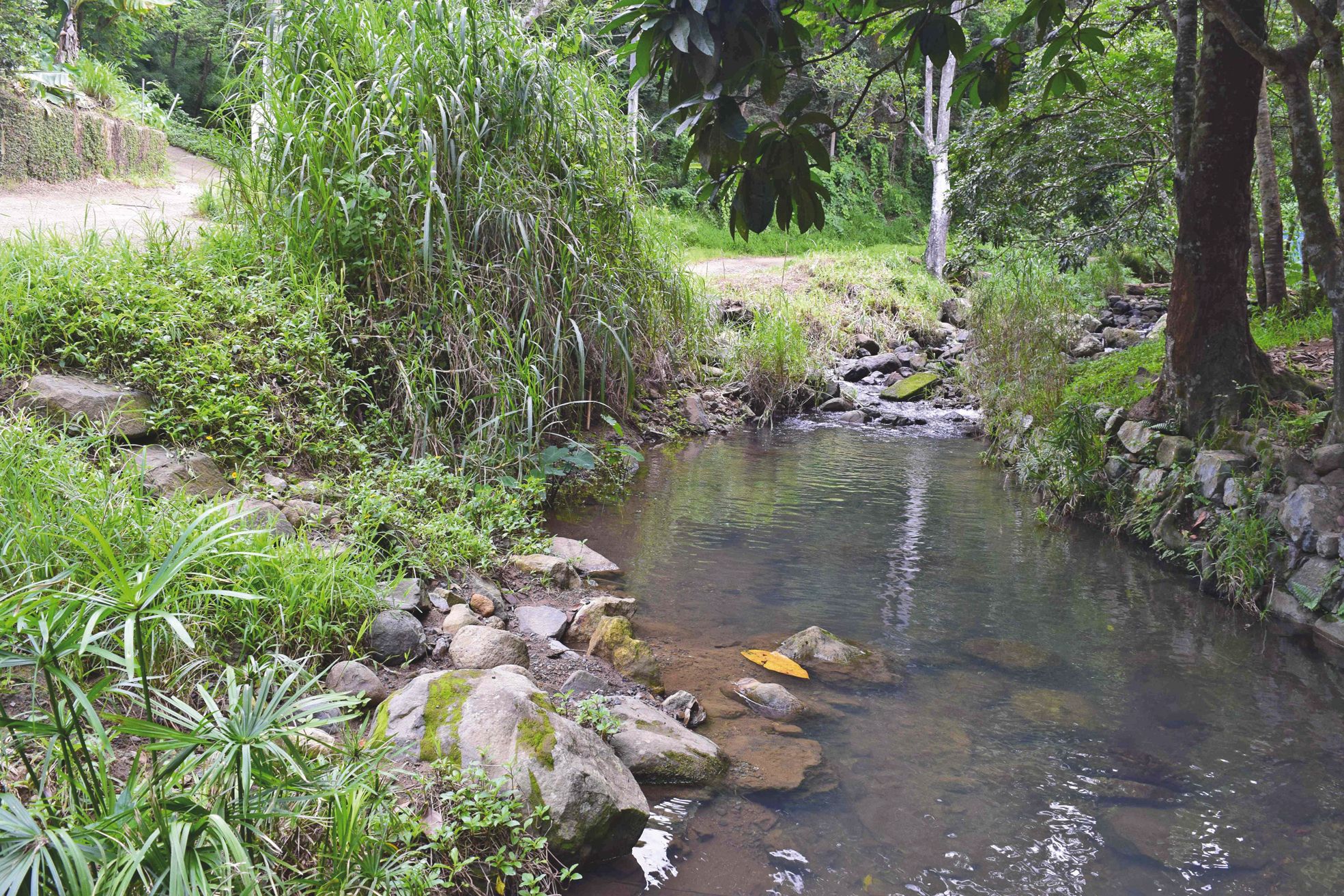 Yahoué, le mardi 5 avril. Ces derniers temps, de nombreux camions circuleraient jusqu'au bout de la route de Yahoué pour s'approvisionner en eau directement dans la rivière. Un acte illégal, qui s'est calmé, mais continue ponctuellement.