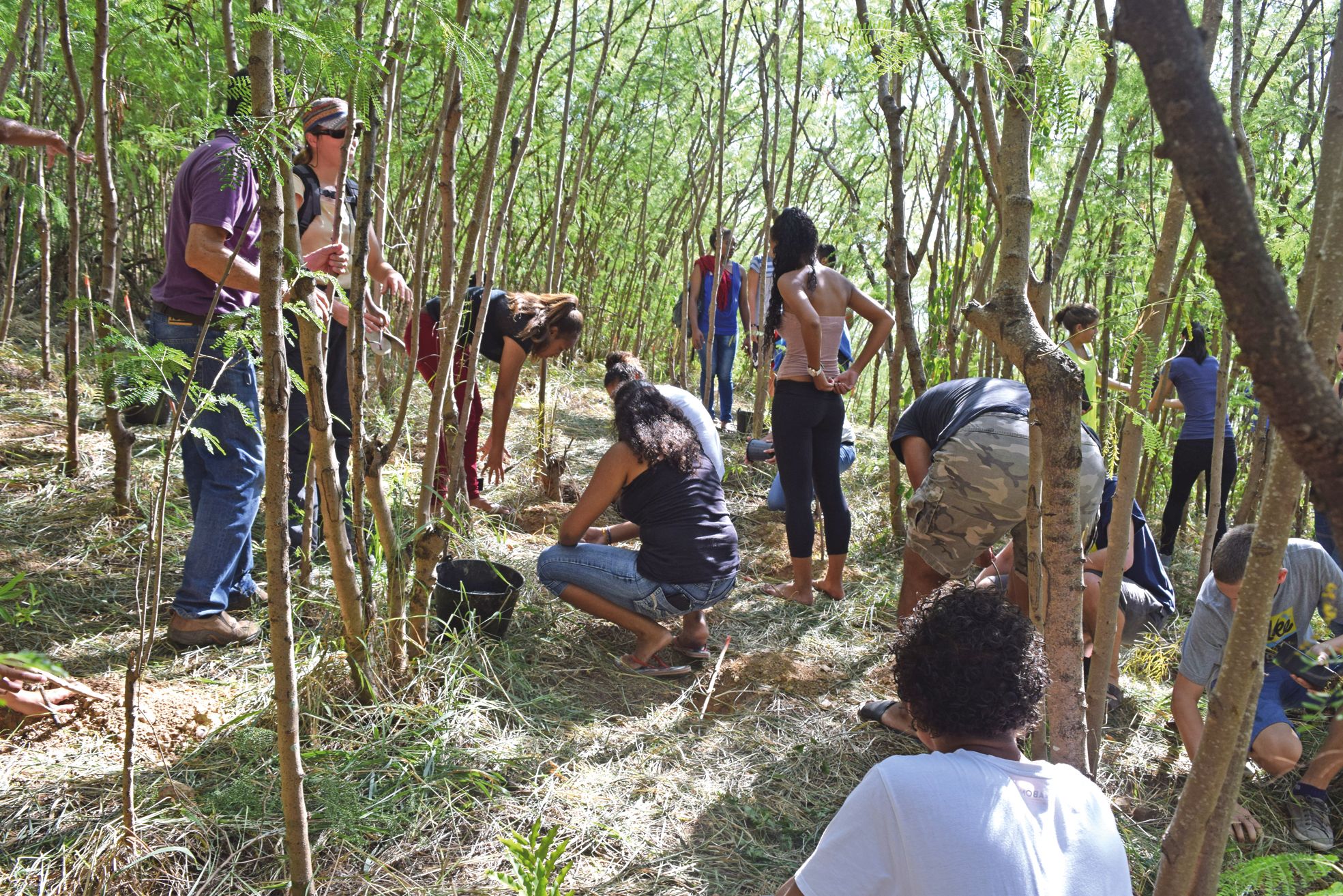 Nouville, lycée Jules-Garnier, hier. Depuis que l'opération existe, 4 080 arbres de forêt sèche ont été plantés, soit 5 280 en comptant ceux d'hier. Il s'agit de protéger la forêt sèche et de valoriser les 19 hectares de terrain que compte le lycée.