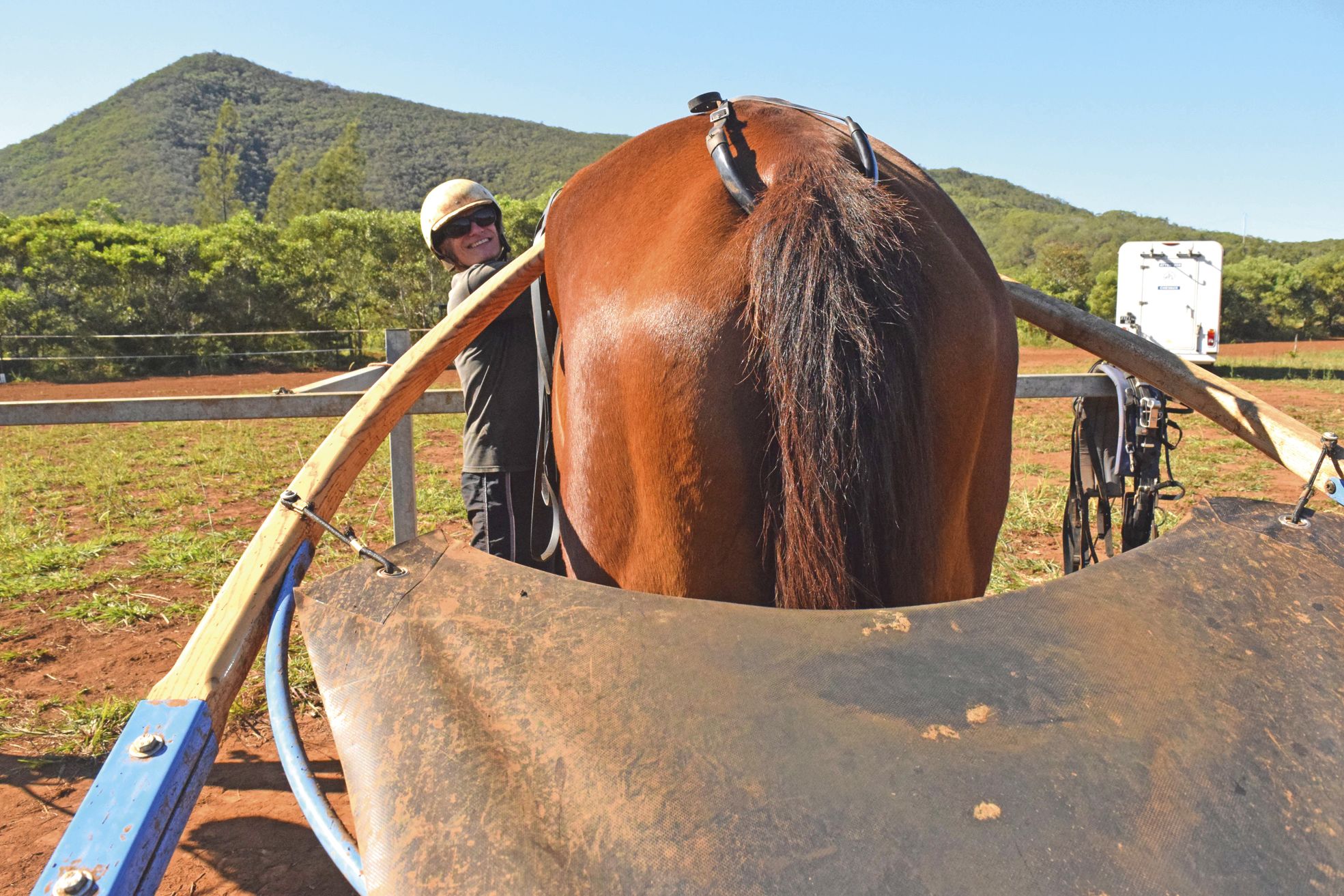 Le temps d'équiper le cheval et de le faire trotter, le driver passe finalement plus d'une heure avec celui-ci.