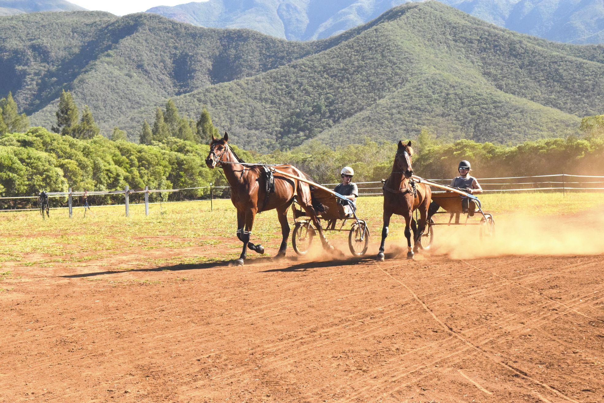 A Tontouta, hier. Au centre d'entraînement de l'Association calédonienne de trot, une piste de 1 200 mètres permet aux drivers et à leurs chevaux de s'exercer.