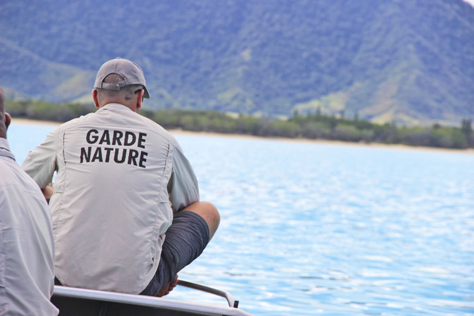 Les opérations de capture et de baguage des grands requins se font sous les yeux des gardes nature de la province. L'arrêté autorisant ces opérations court jusqu'à dimanche.